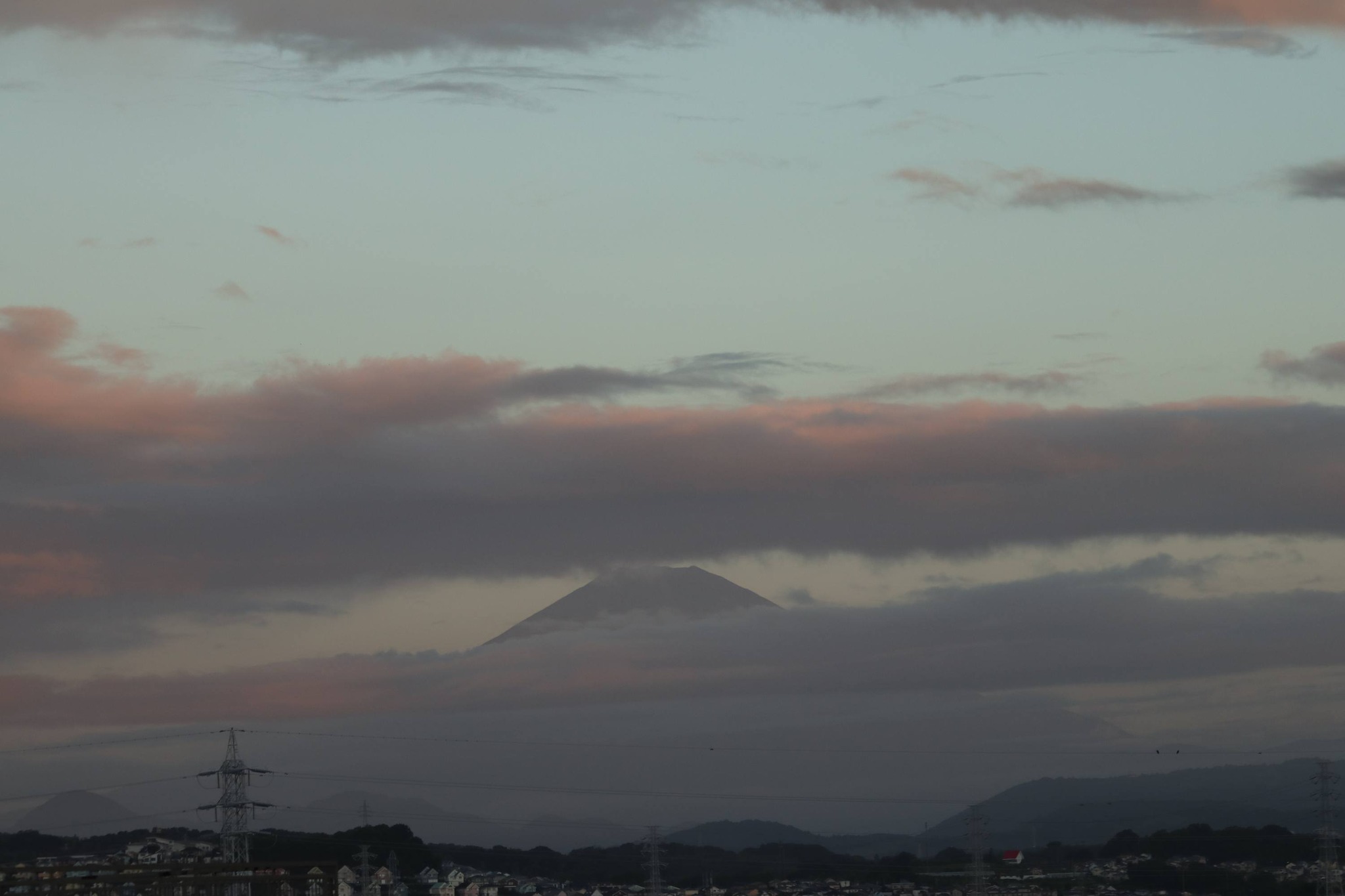 8月7日(金) おはようございます。