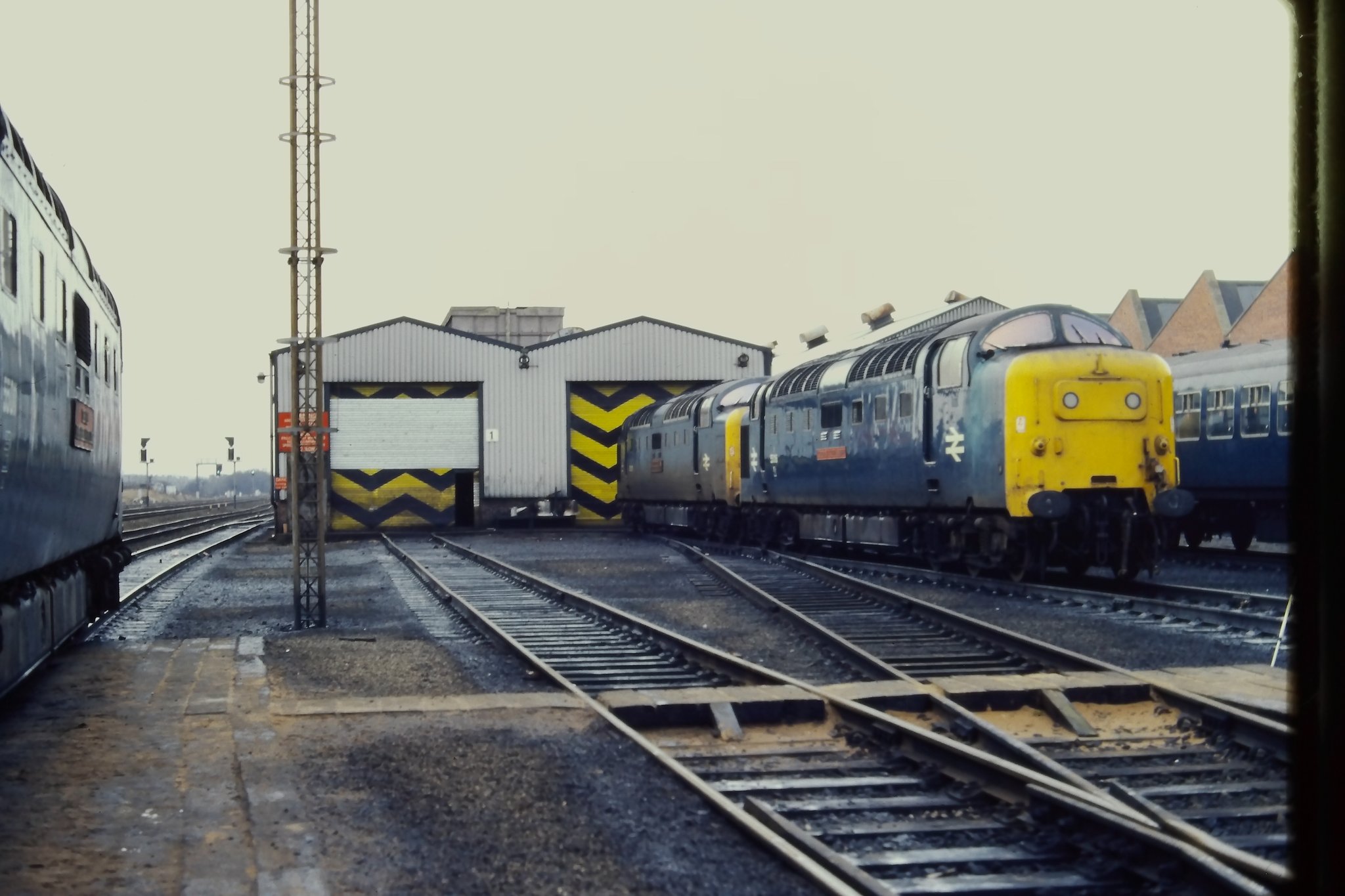 1981, 8.5x11(?). Thanks Tim Abbott
