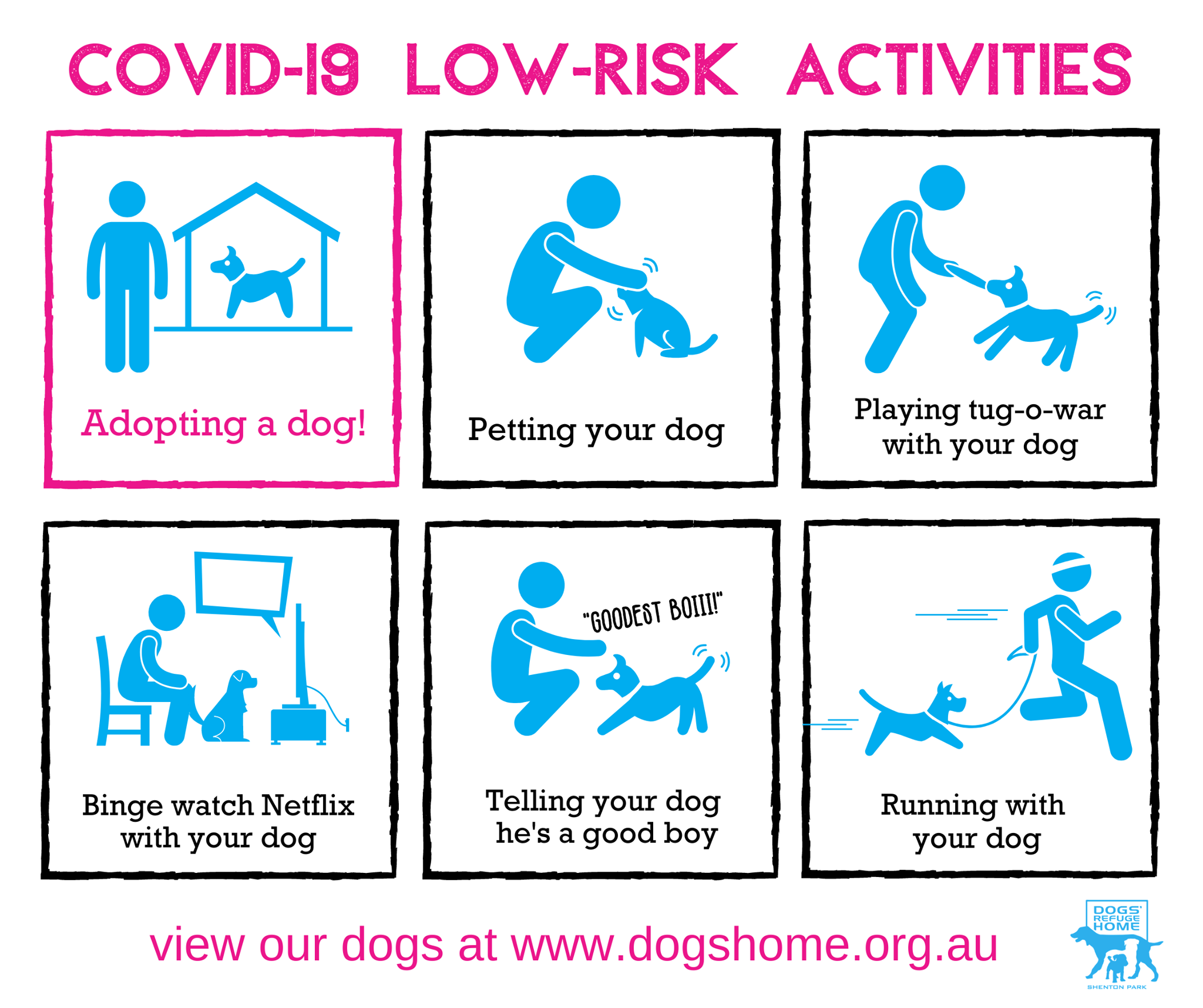 #LowRisk #Activities #Adoptadog... - Dogs' Refuge Home WA INC | Facebook