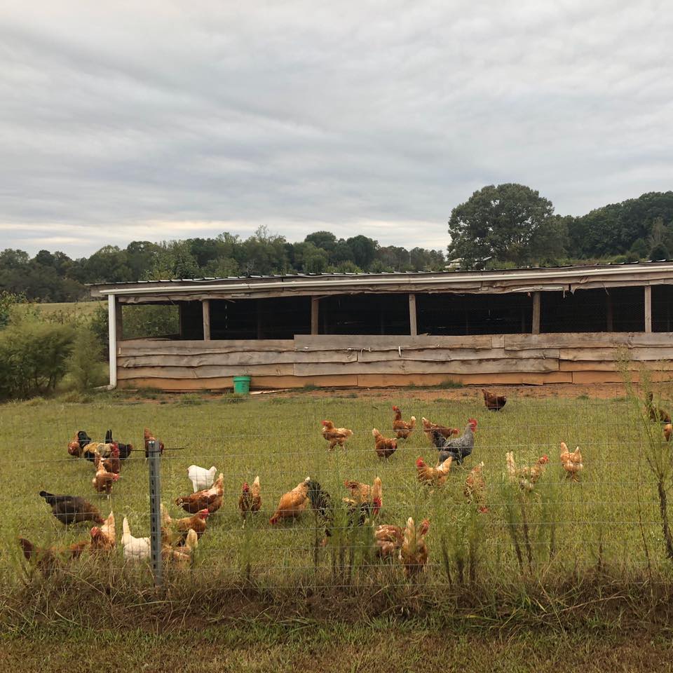 Wilfong–Wilson Farm photo 1