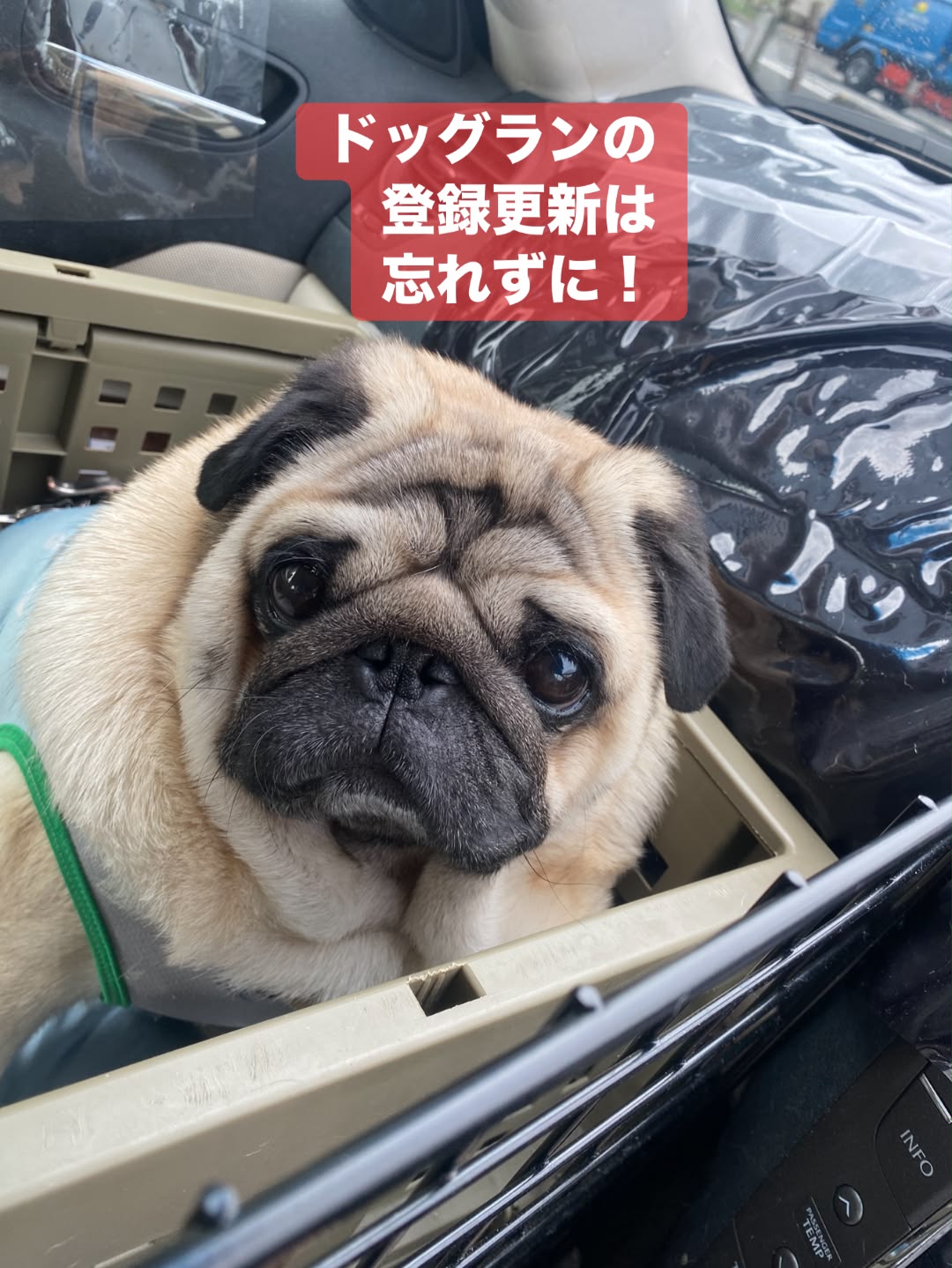 パグっこ89倶楽部 | Facebook