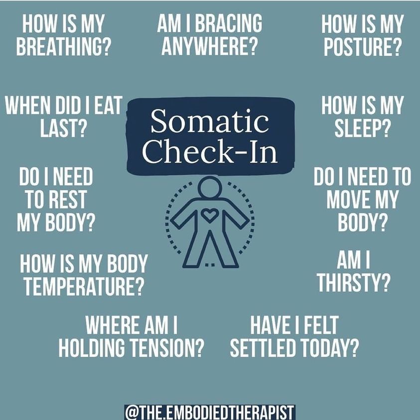 Somatic check-in ... 💗... - Synergetic Play Therapy Institute | Facebook