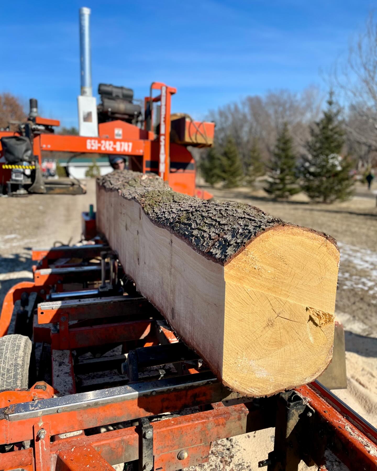 Krueger's Christmas Tree Farm | Lake Elmo MN