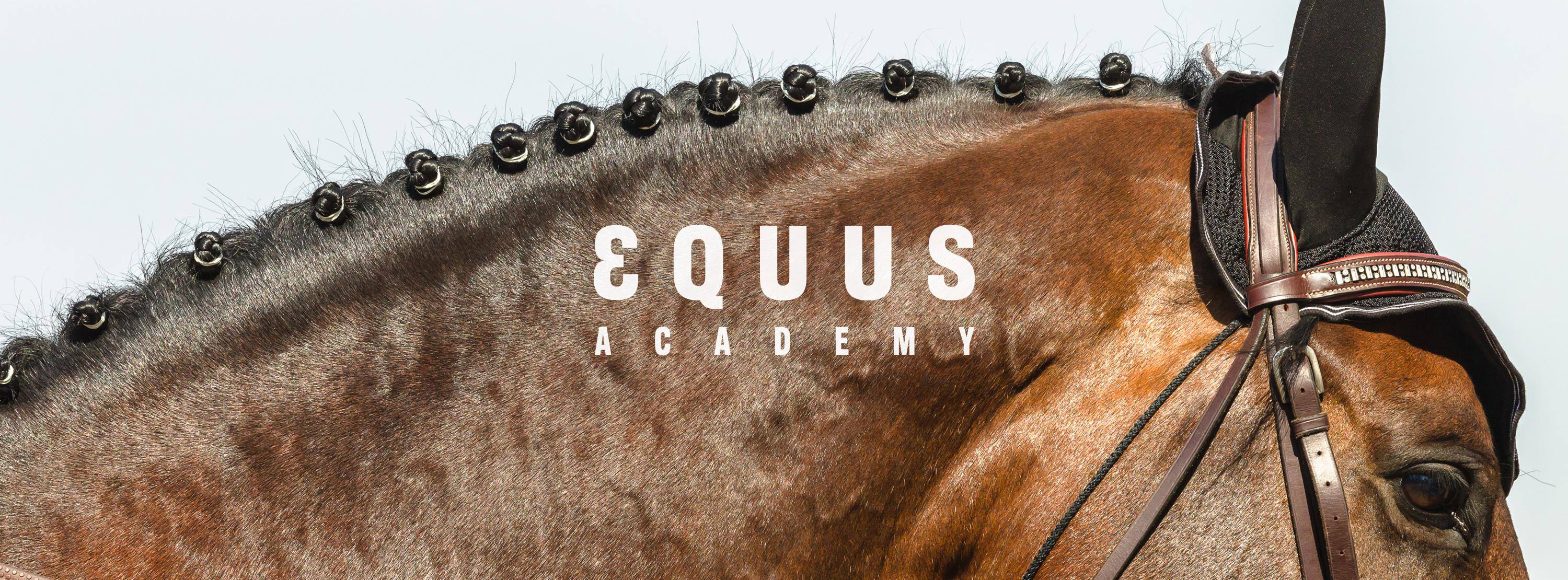 Equus Academy