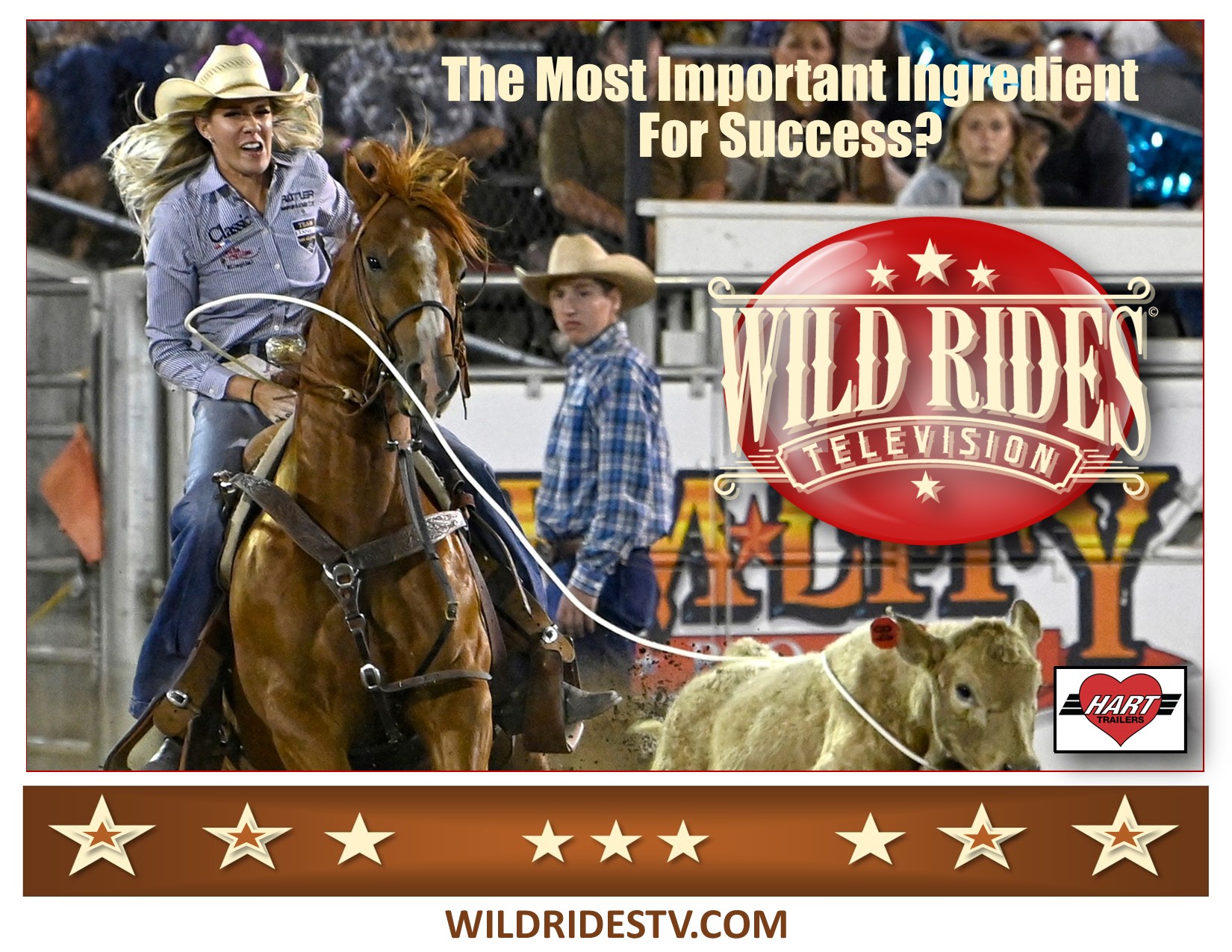 Wild - The most #important ingredient for #success? #Focus ...