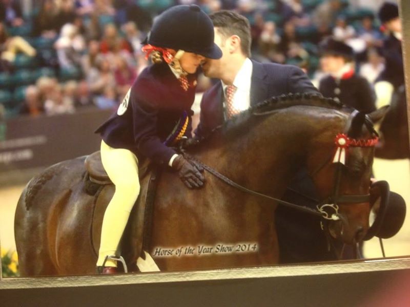 The British Riding Pony and Show Hunter Pony Association