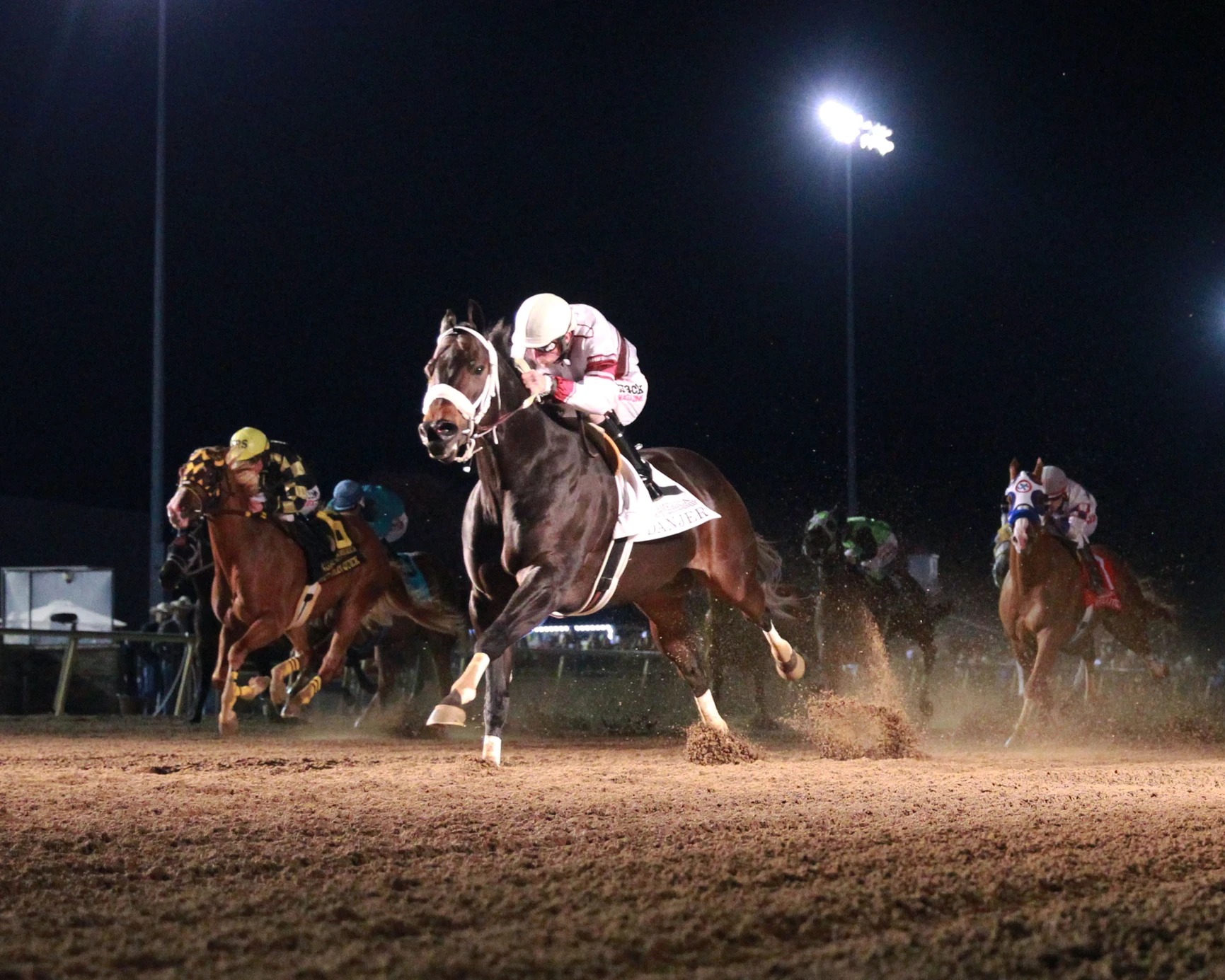 Q-Racing - A trip to Quarter Horse racing's richest and... | Facebook
