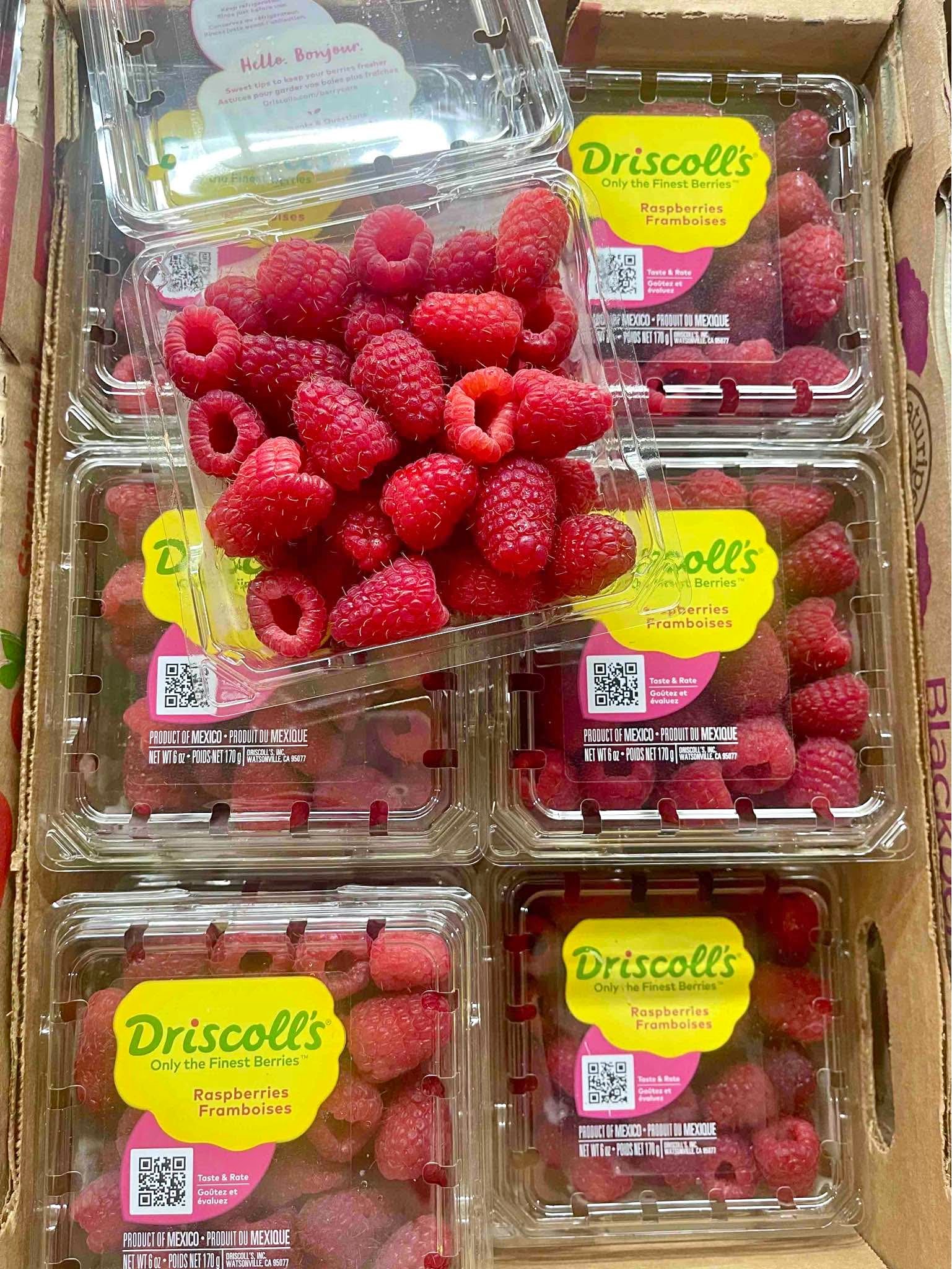 Driscoll’s Raspberries Naturipe Blackberries Strawberries Blueberries ...