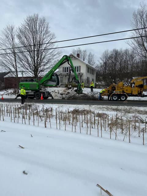 Richard Sears Tree Experts | Queensbury NY