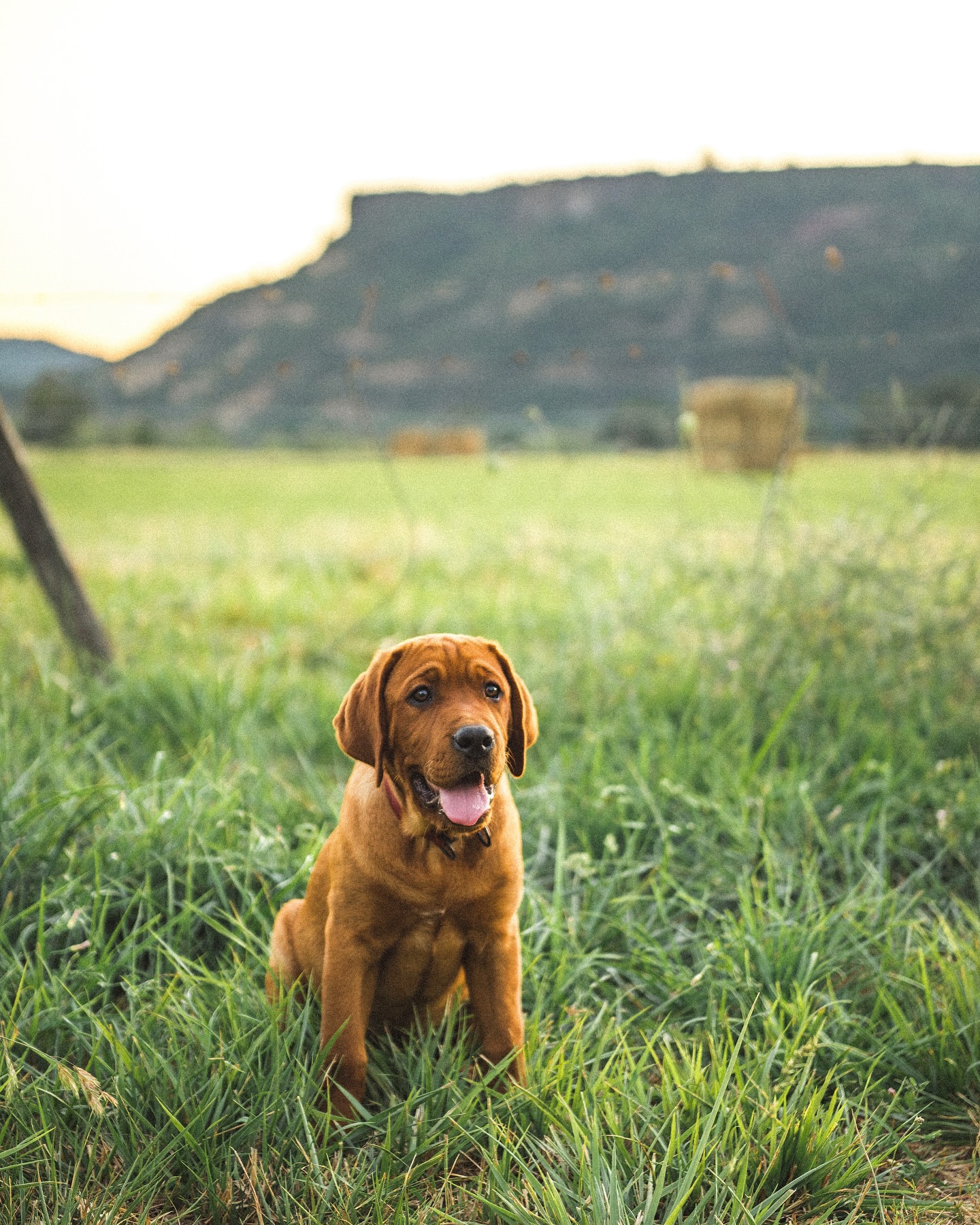Table Rock Ranch & Vineyard | Central Point OR
