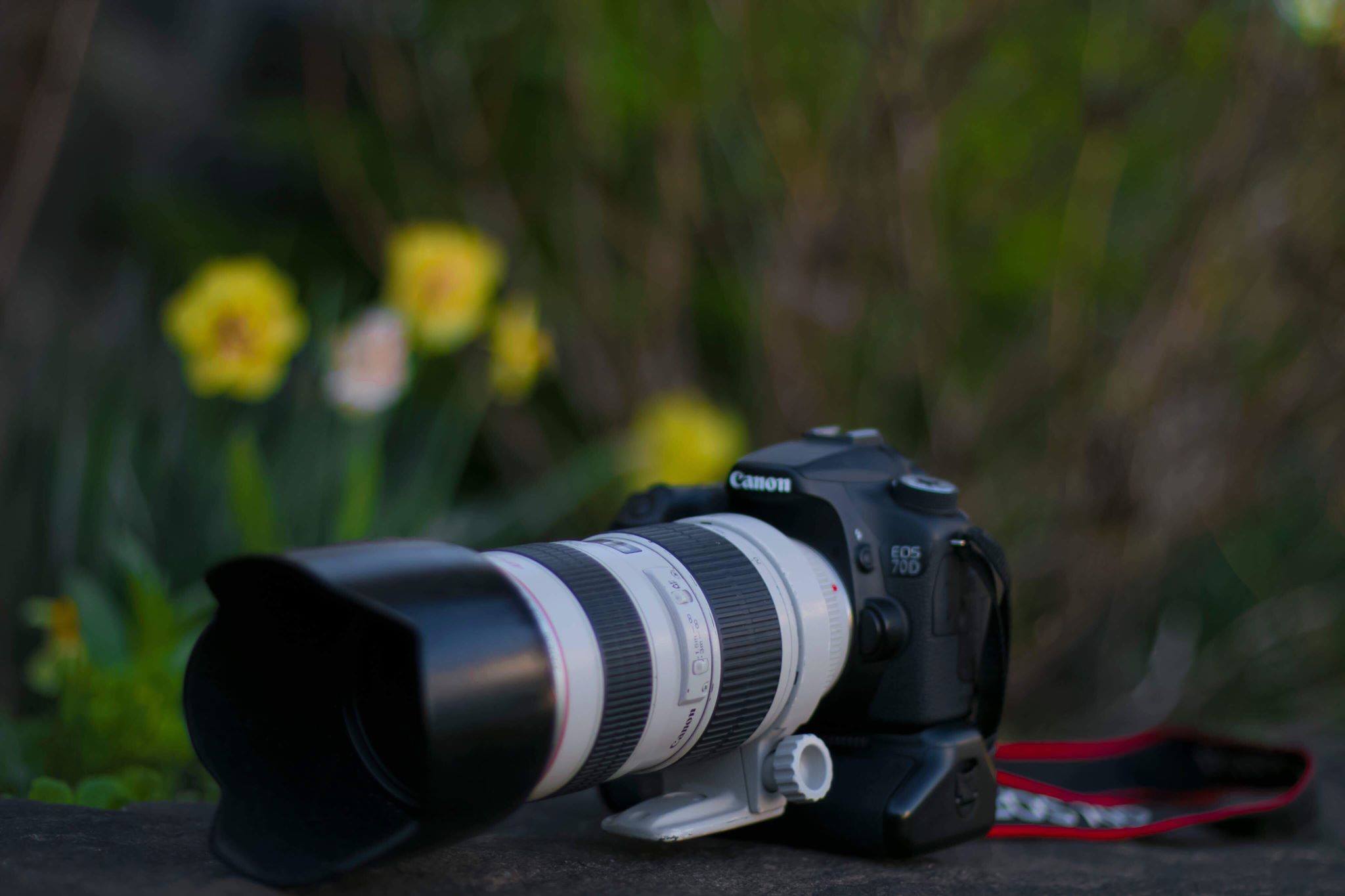 New member of the family Canon 70D, Lens - Tokina 11/20 2.8