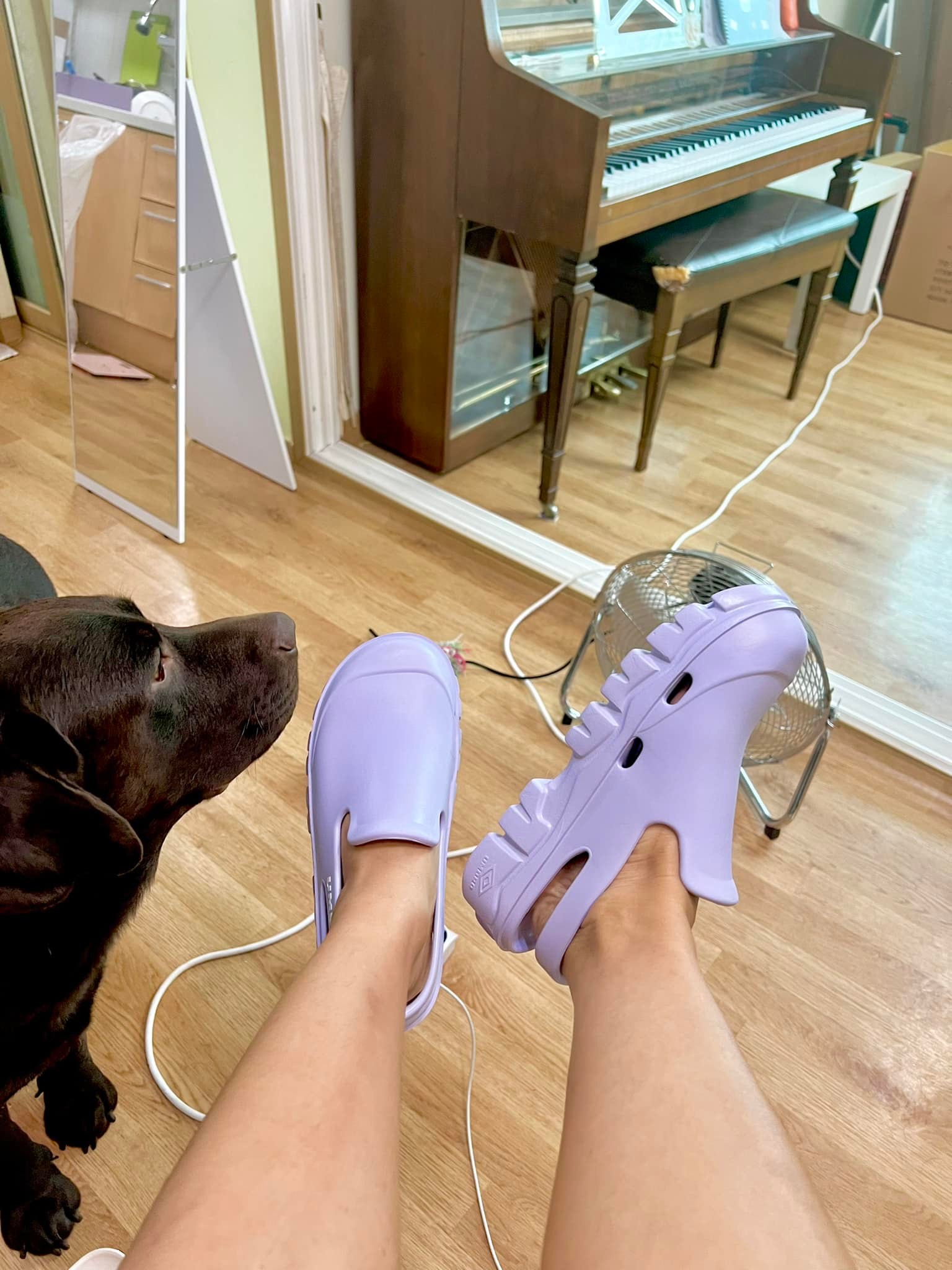 ระหว่างพี่ถ่ายเกิบอยู่นั่น …... - Dobby Bambii labrador | Facebook