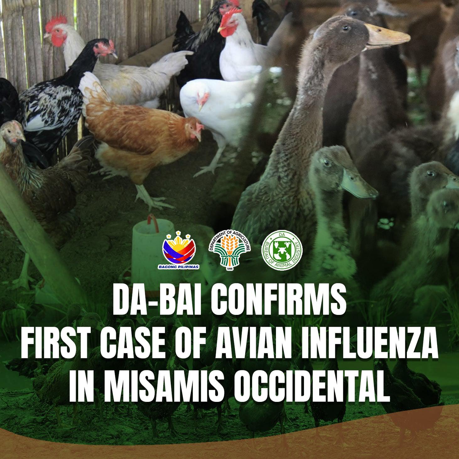 Be informed. Be prepared.... - The Chicken Doctors | Facebook