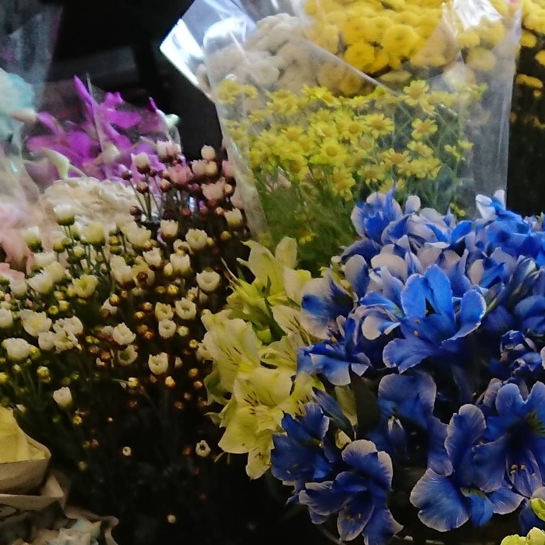 花屋 草 Home Facebook