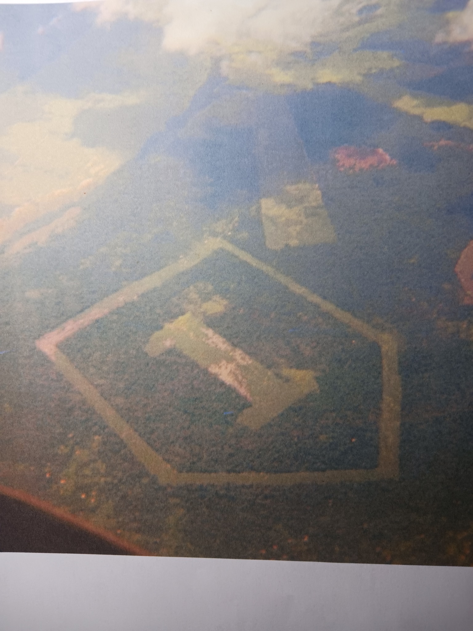 the Big Red One emblem we carved in the jungle before we left