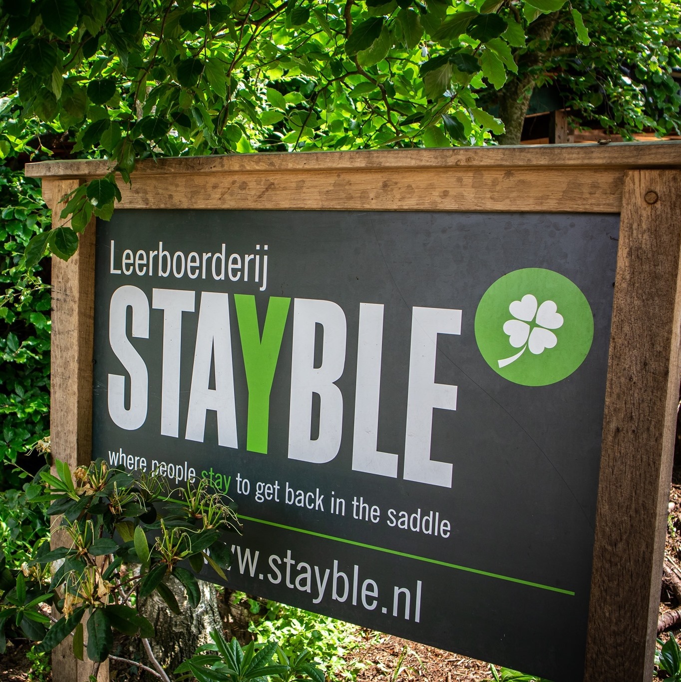 Stayble - Stayble added a new photo.