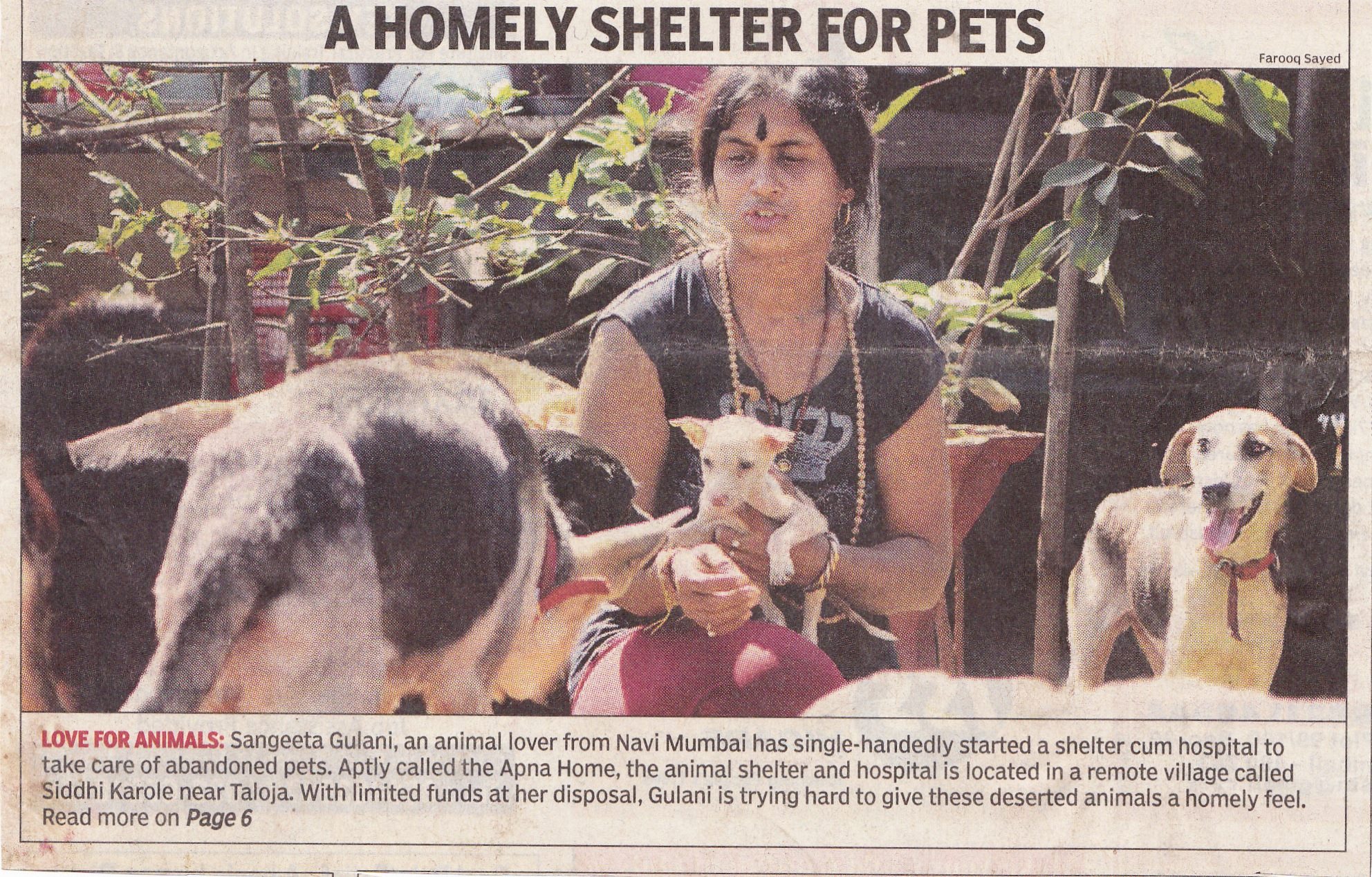 Apnahome Animal Shelter