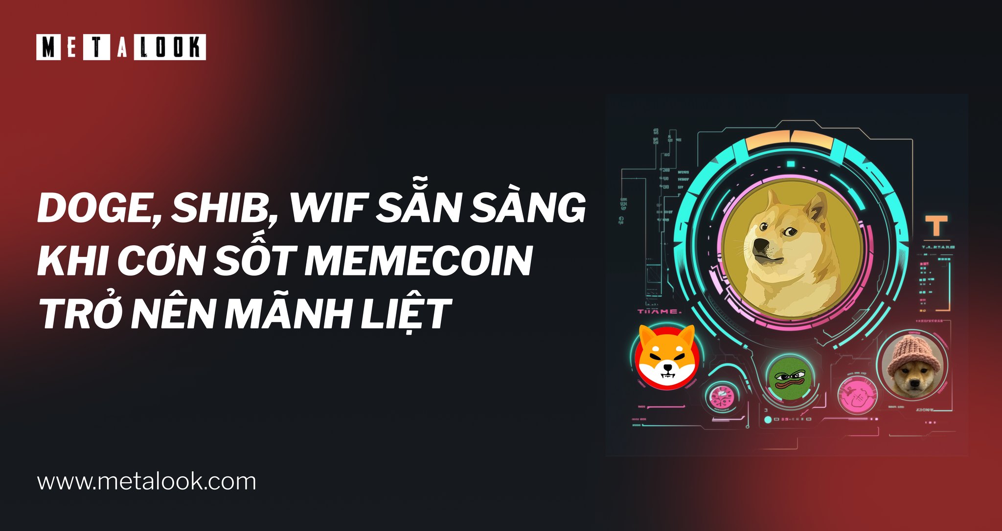 Metalook Insight | Ho Chi Minh City