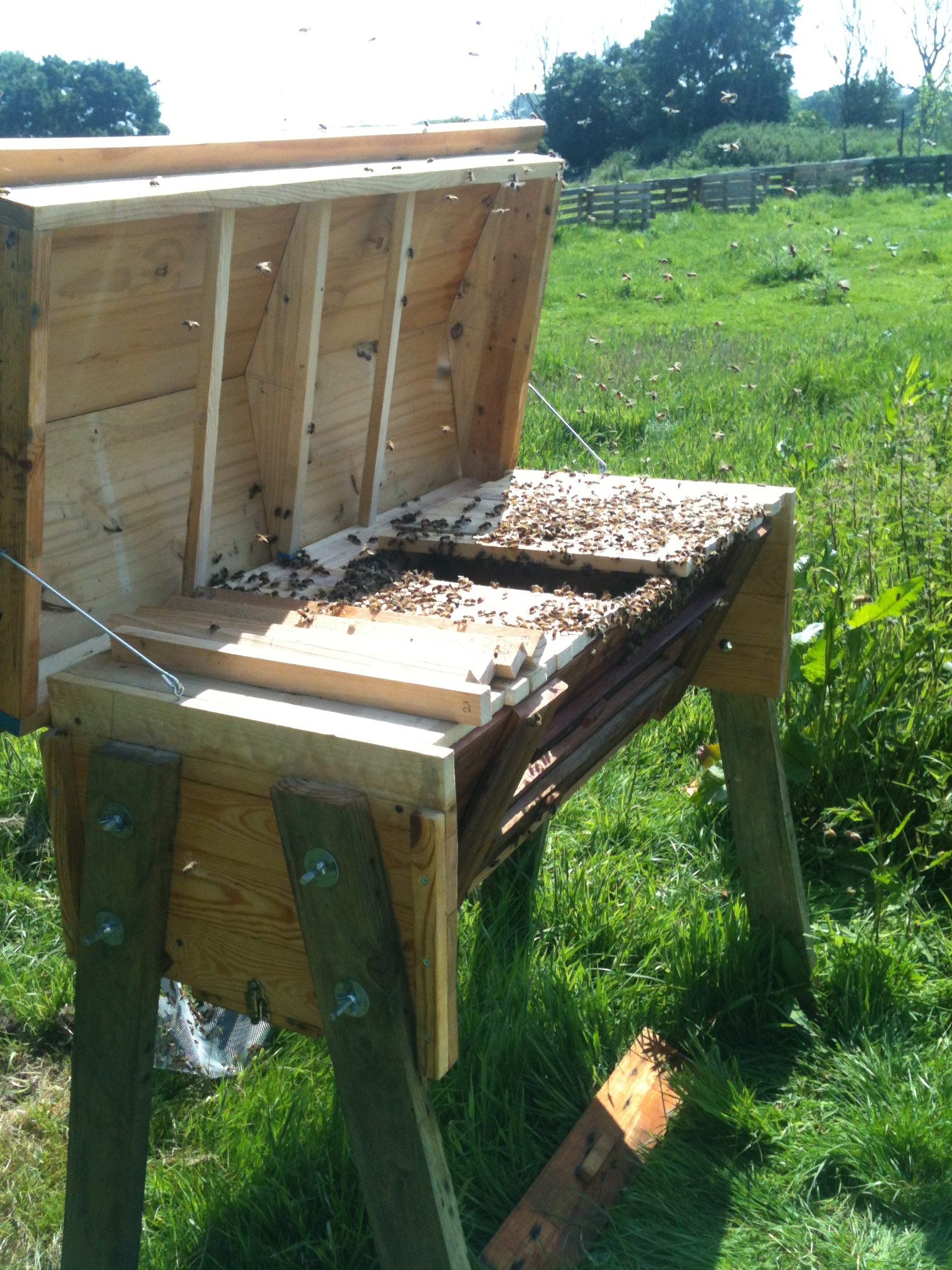 Top Bar Beekeeping Essex