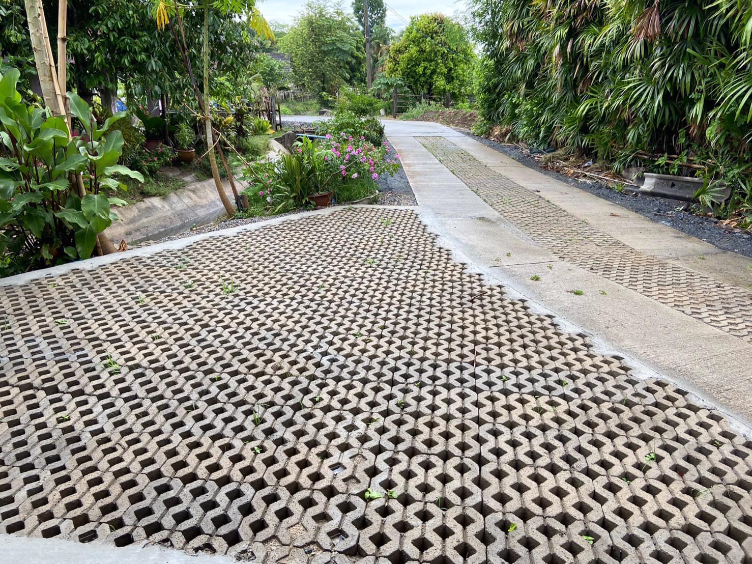 Maxblock : บล็อกปูพื้น-บล็อกช่องลม-บล็อกปลูกหญ้า เชียงใหม่ | Chiang Mai