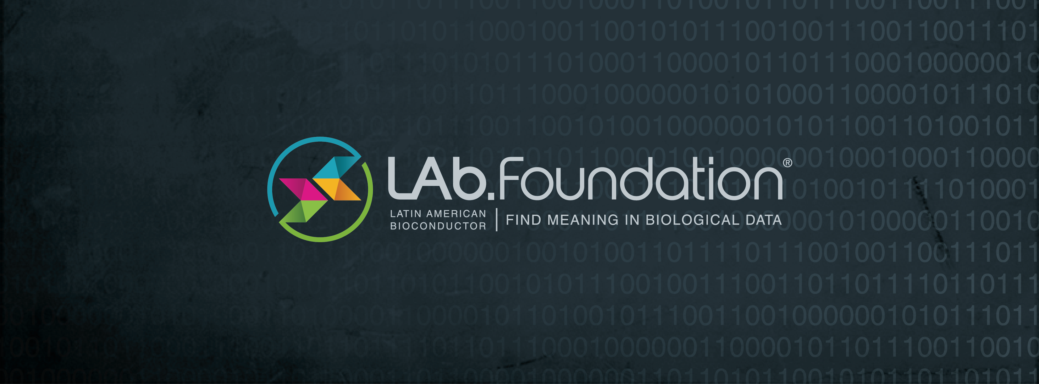 Latin America Bioconductor | Ribeirão Prêto SP