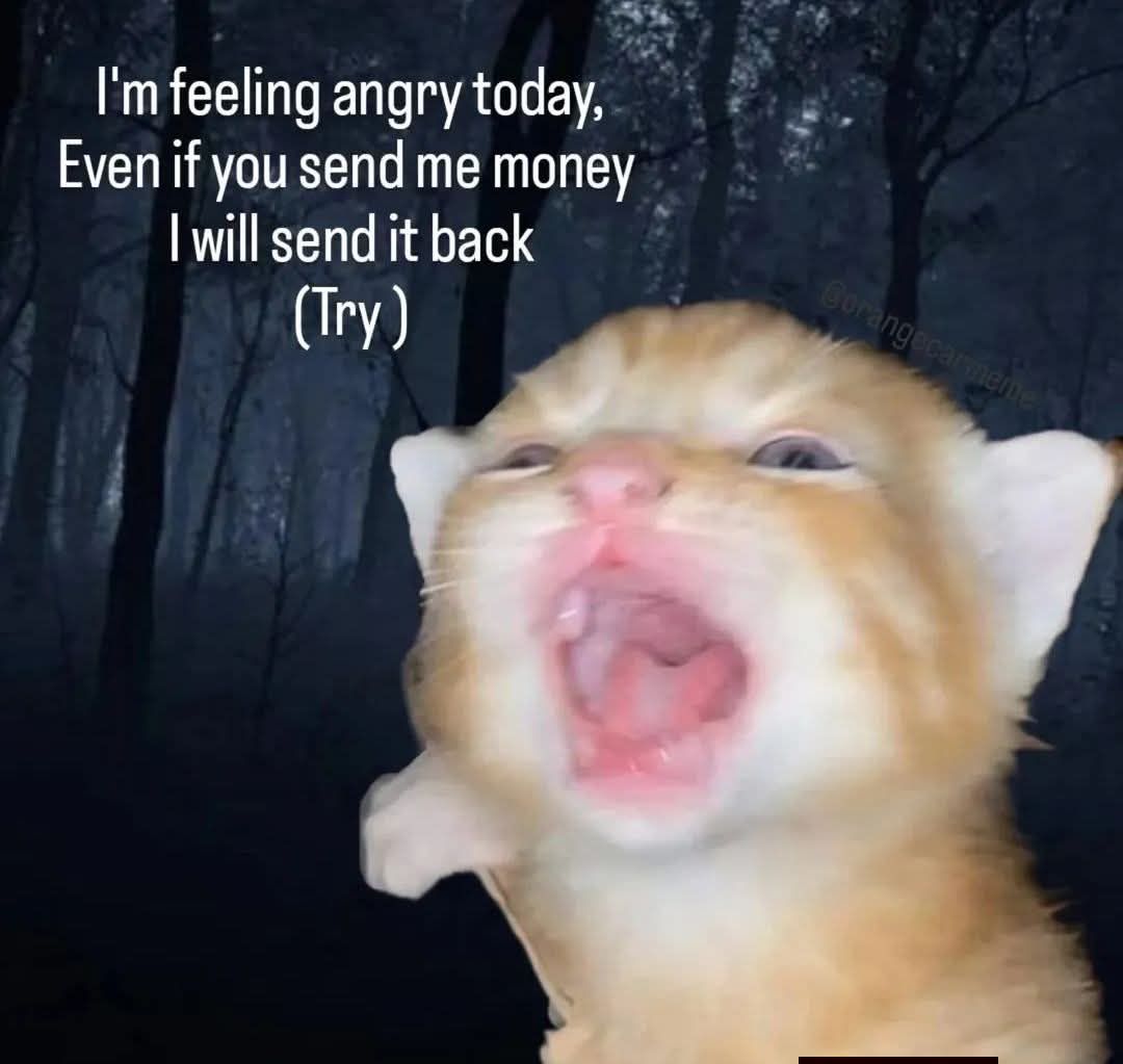 Wholesome Memeposting | Just tryyy!! | Facebook