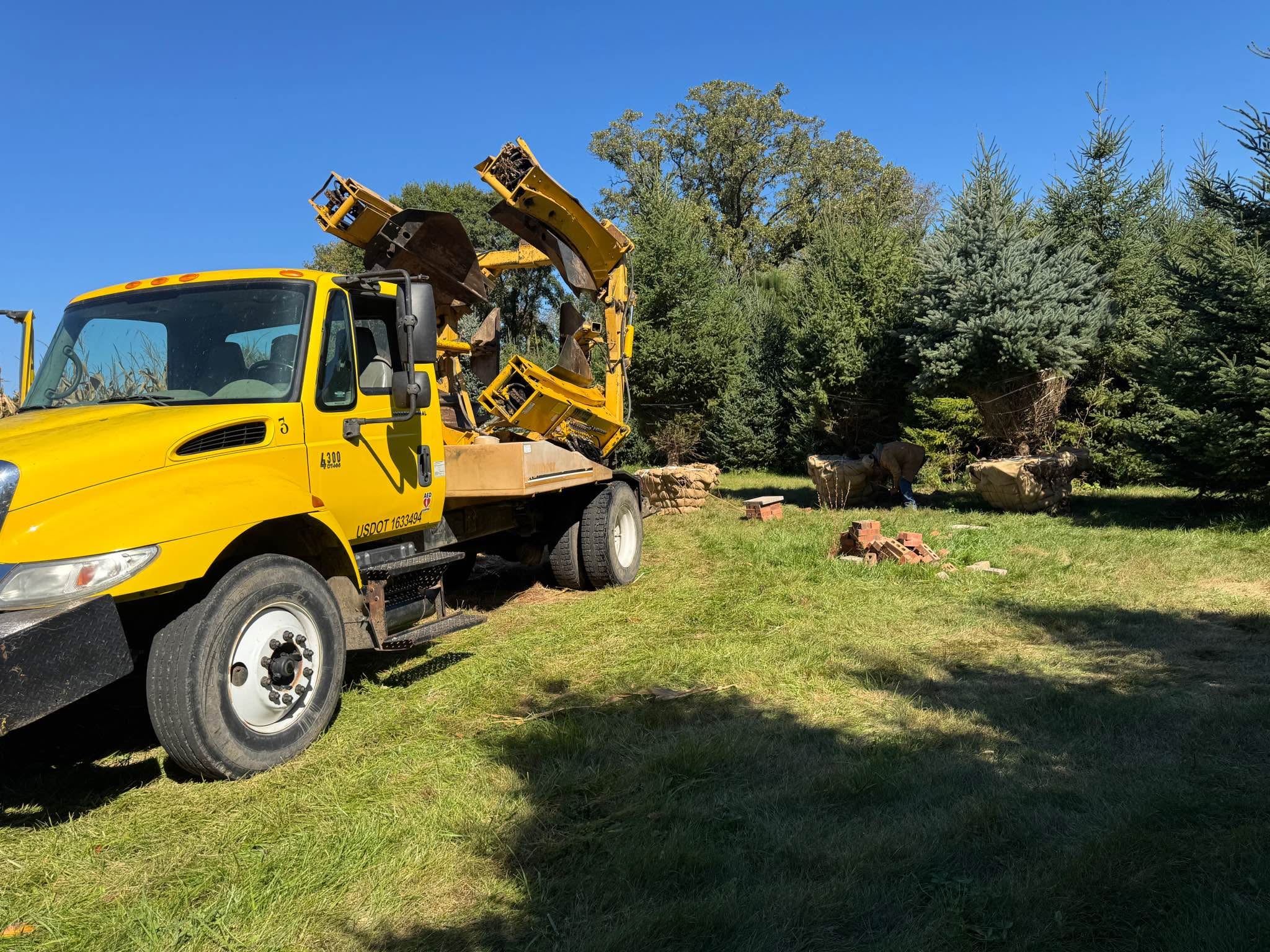 Clean Fill wanted - Plants & Seedlings - Lyons, Wisconsin | Facebook ...