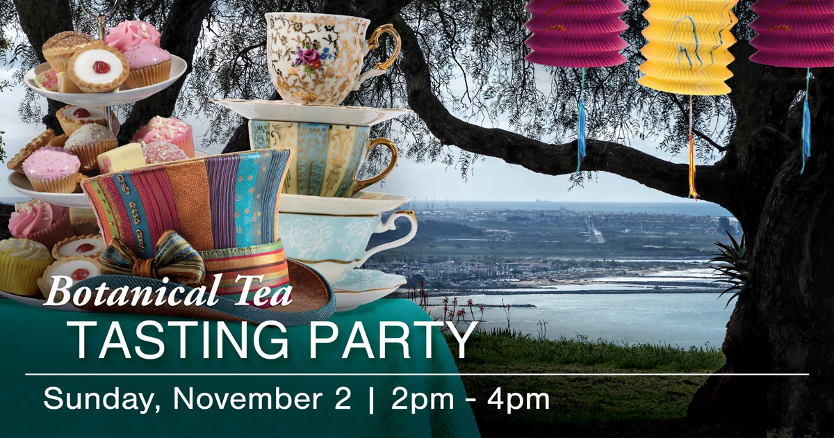Botanical Tea Tasting Party at Summit Plateau