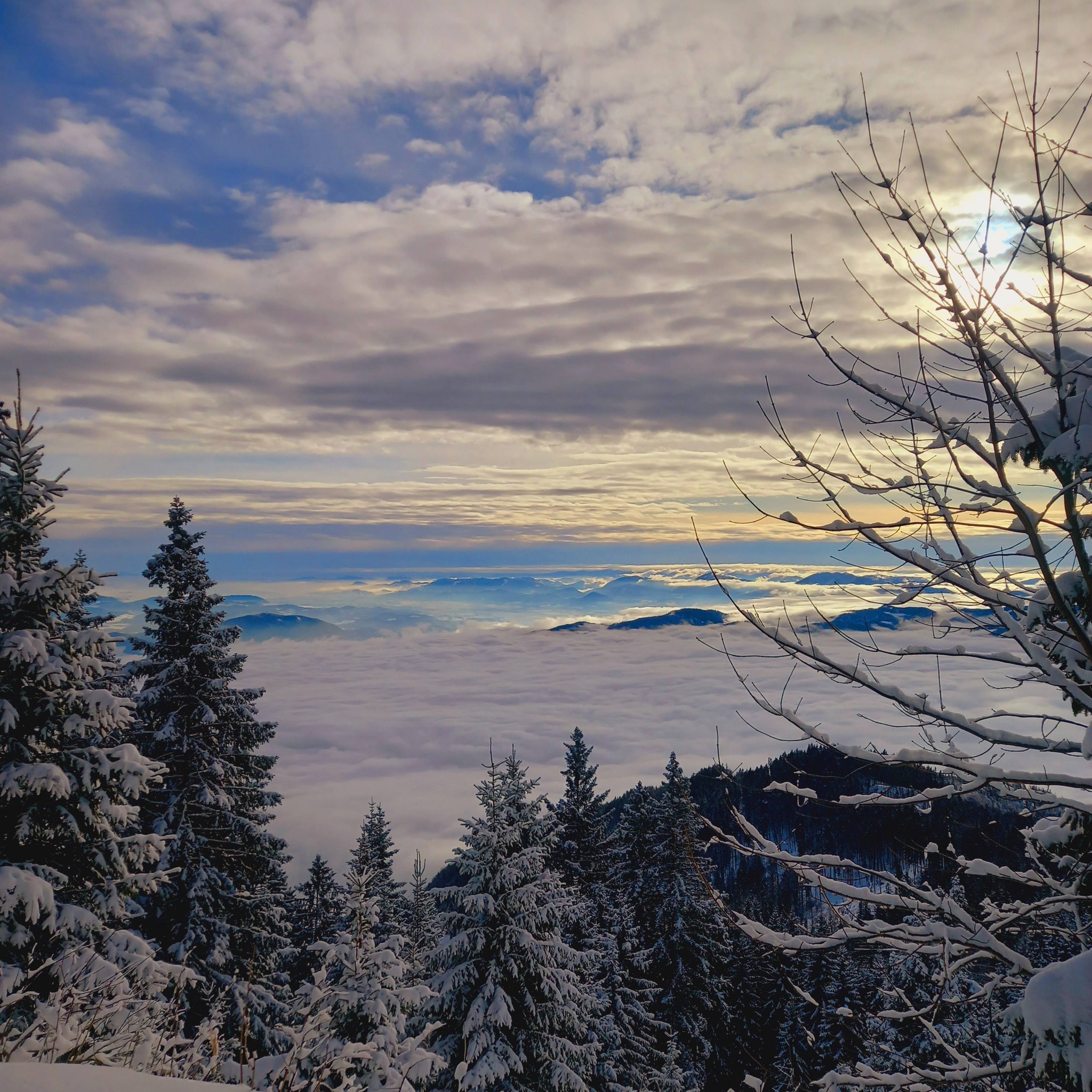Hribovc.si - Aktualne razmere | 💙⛄️Ah, zimska pravljica, kako dobra si ...