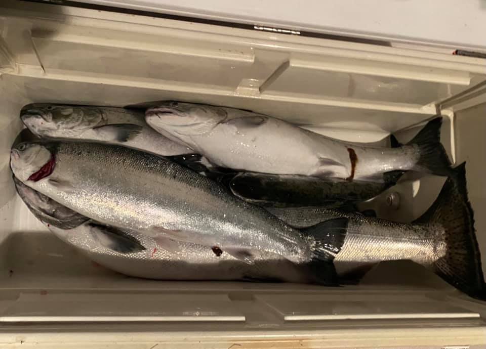 Racine and Kenosha Lake Michigan fishing reports | Fished Kenosha ...