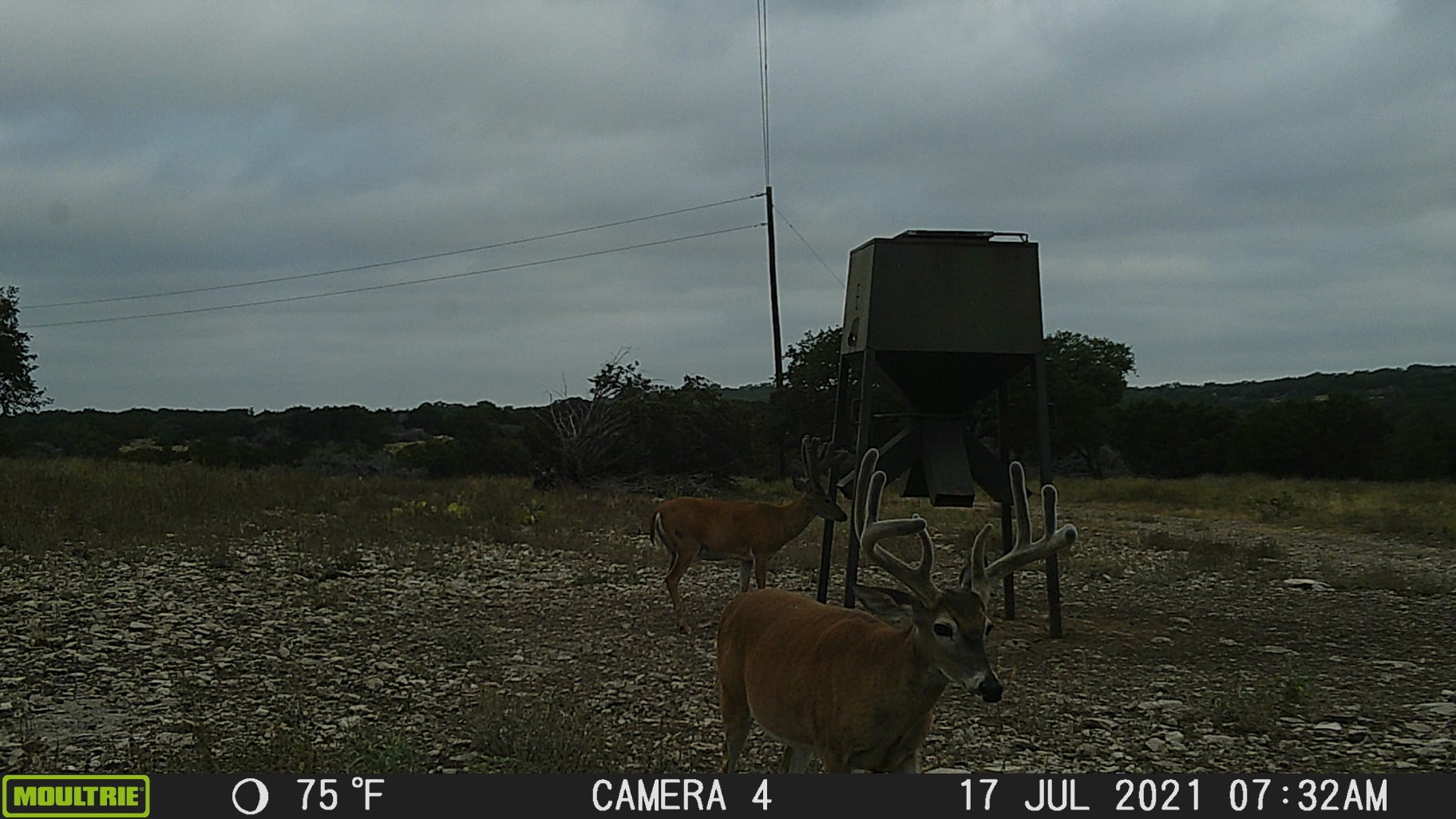 Double Draw Ranch