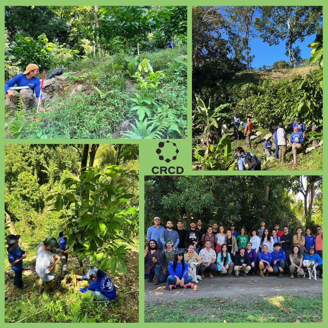 🤩🤩 Boricorps CRCD team! 💪🏻 - CRCD Puerto Rico | Facebook