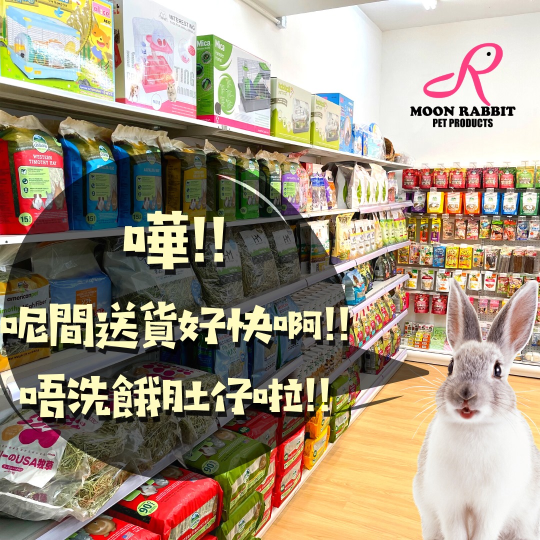 🏪MOON RABBIT網上專門店，原裝正貨保證... - Moon Rabbit 穴兔小動物用品專門店 | Facebook