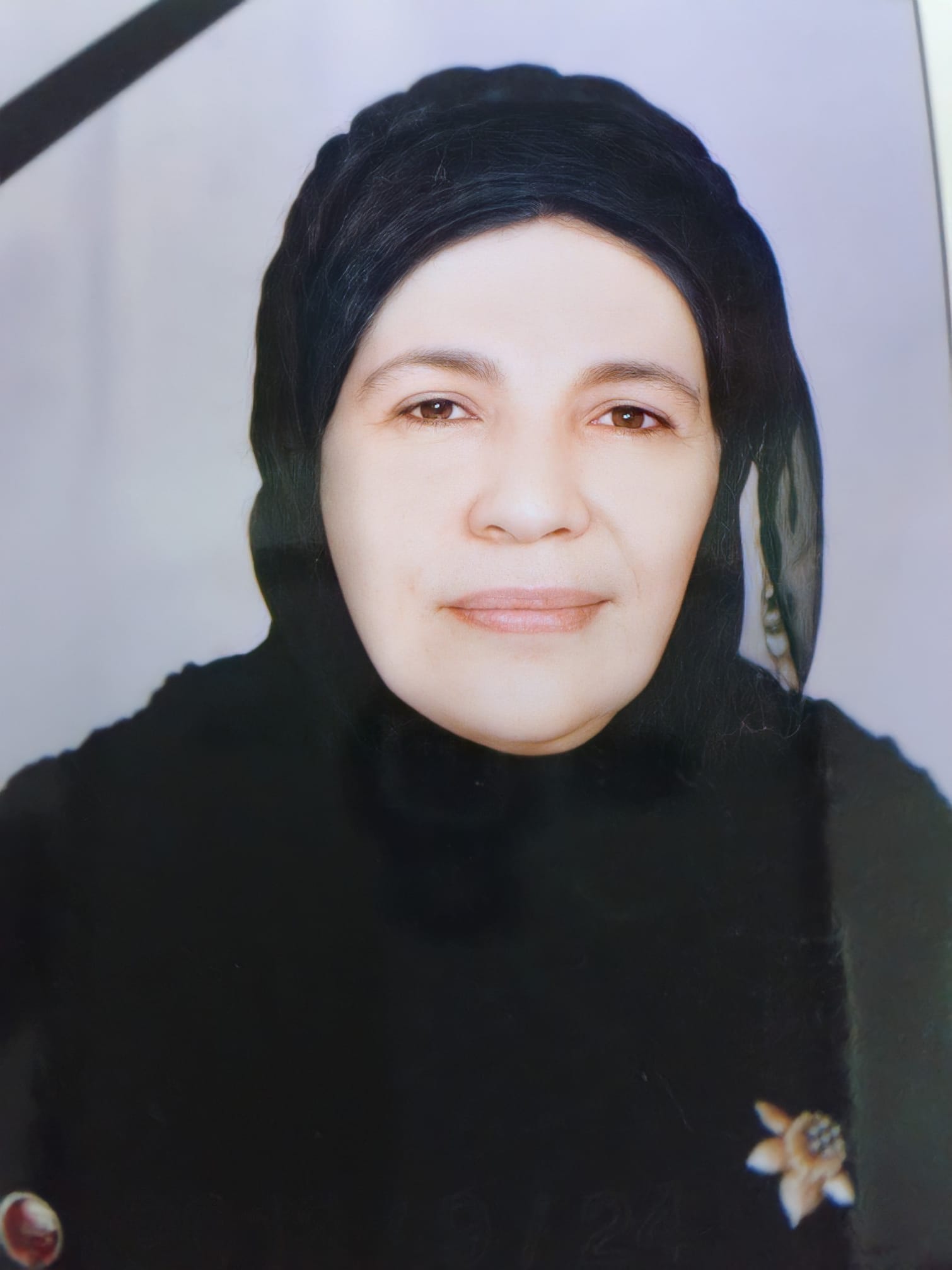Sayed Abdelaziz Hasanin
