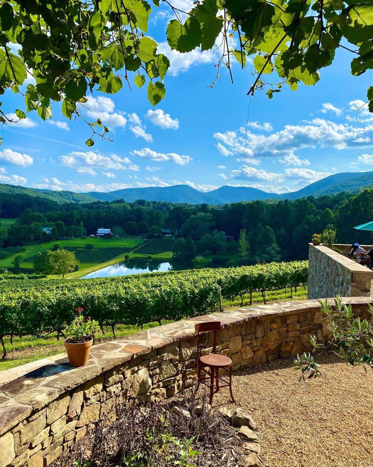 🍷Sharing this lovely... - The Ridges Resort on Lake Chatuge | Facebook