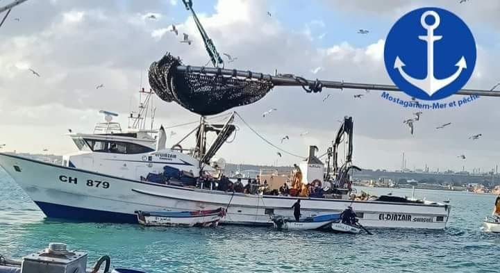 #funny #fyp #sea #fishing #viral | الصيد البحري في المغرب