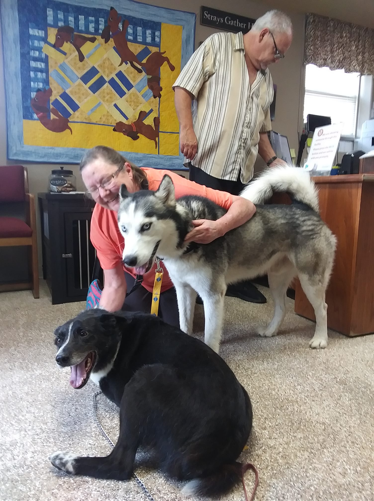 The Callahan... - Second Chance Pet Rescue of Grand Lake | Facebook