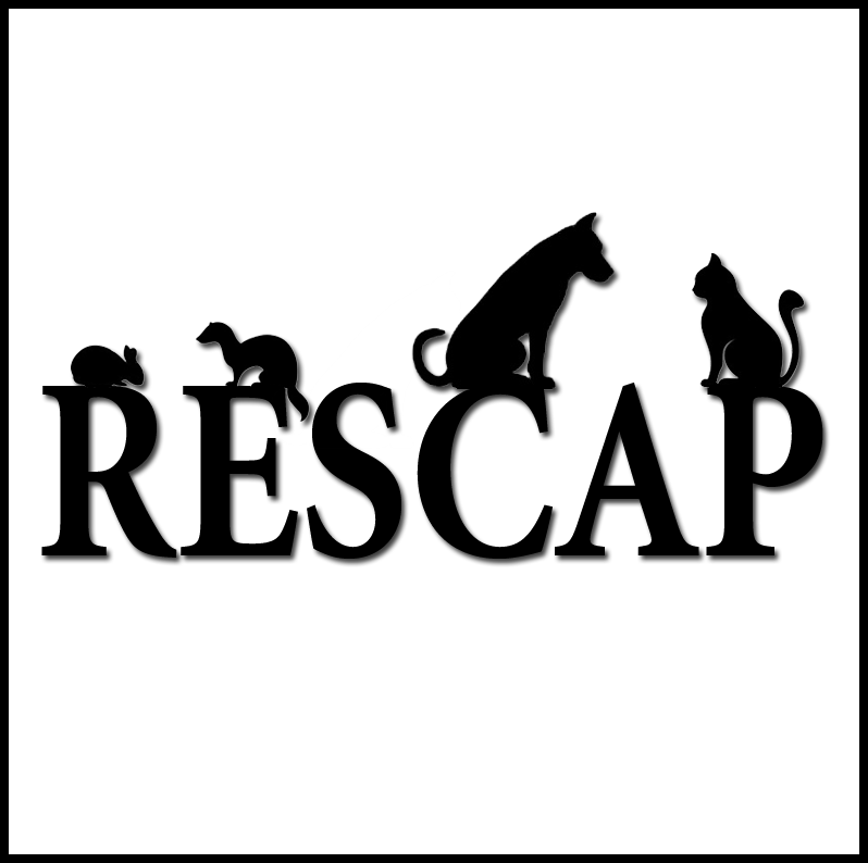 Rescap | Athis-Mons