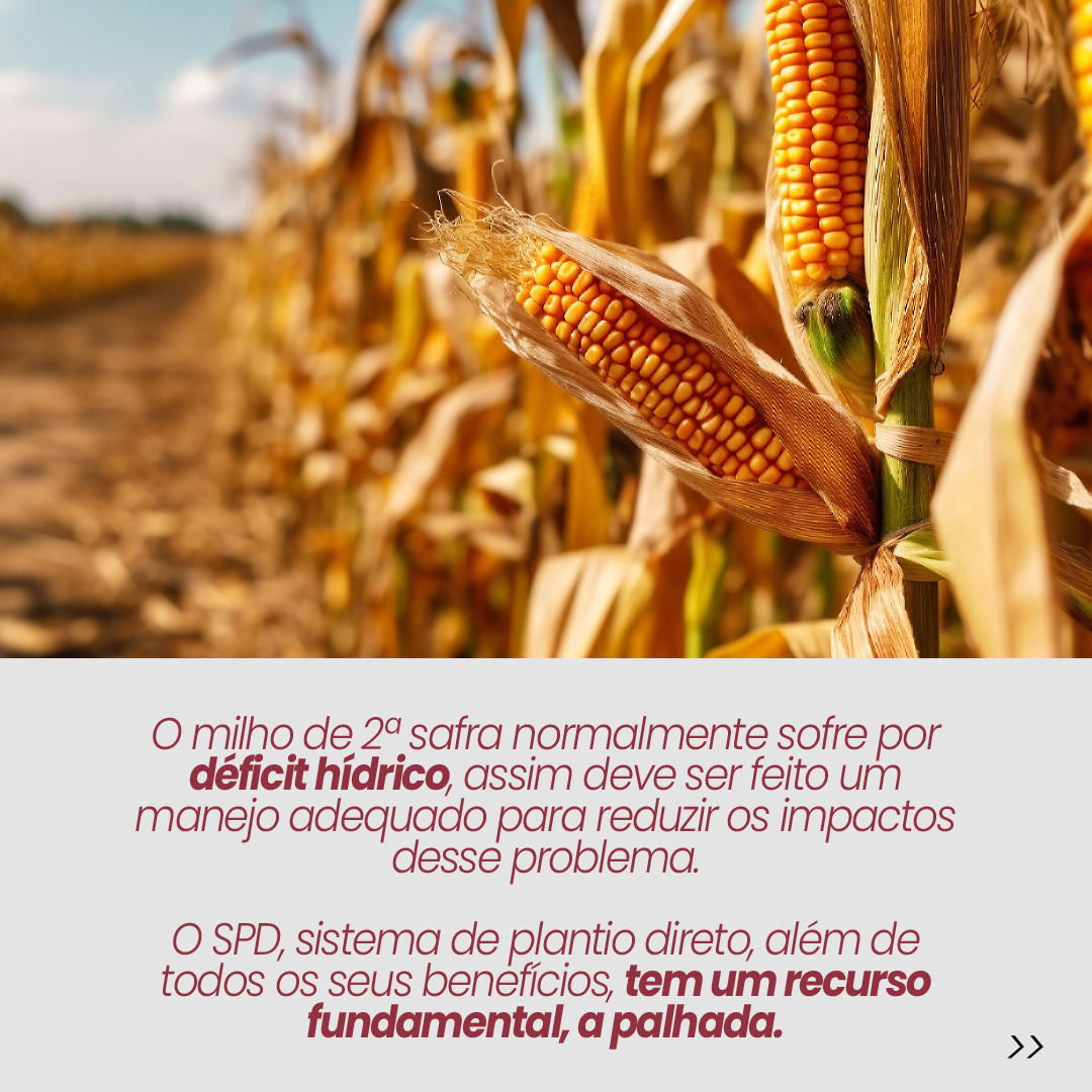 Ponto Rural Agro