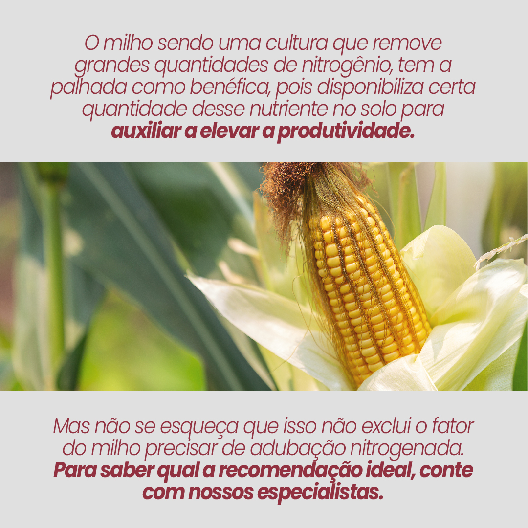 Ponto Rural Agro