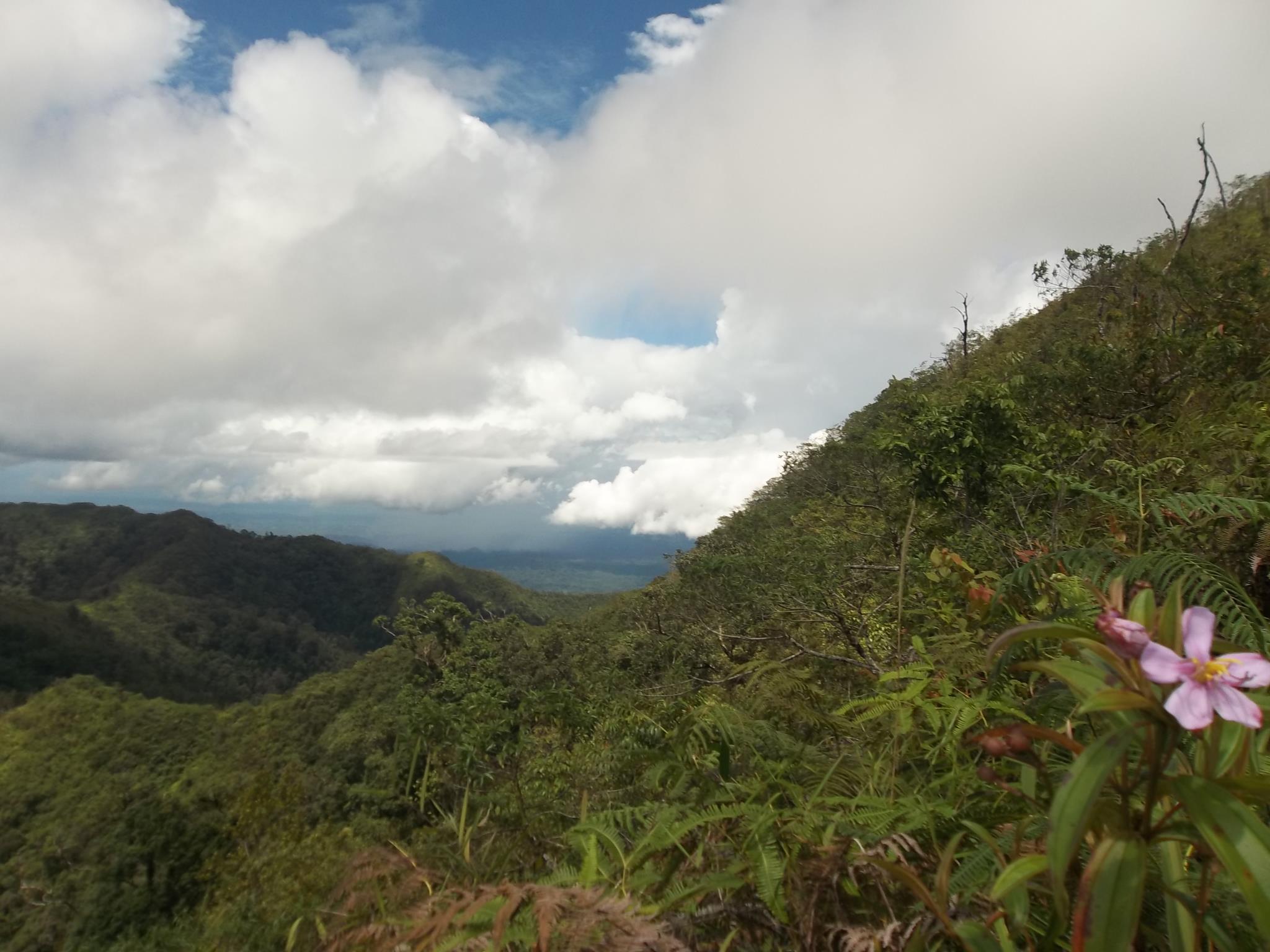 Gunung Raya