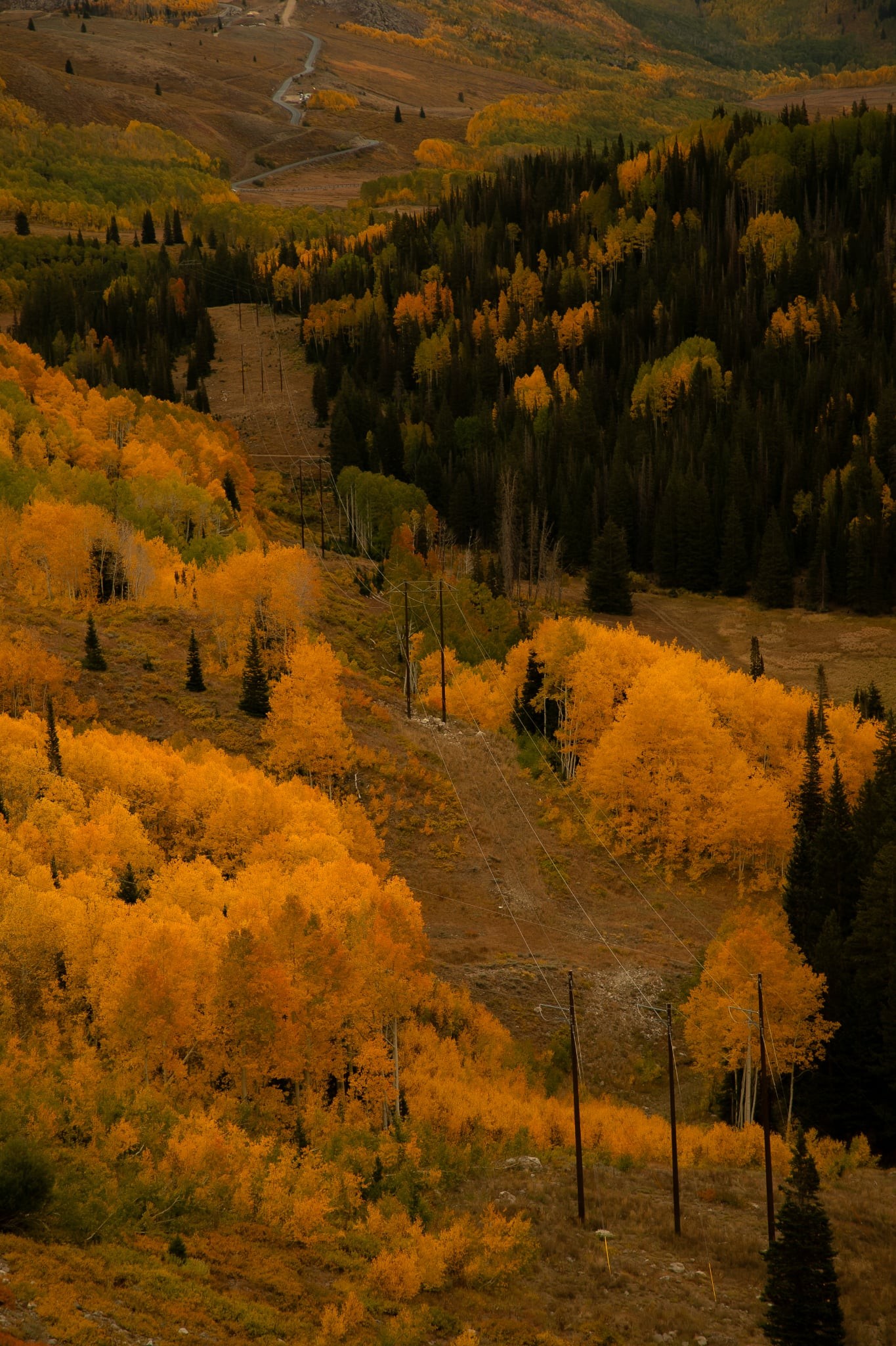 Hiking Utah | Wanting to do Nebo Loop or Mirror Lake highway for ...