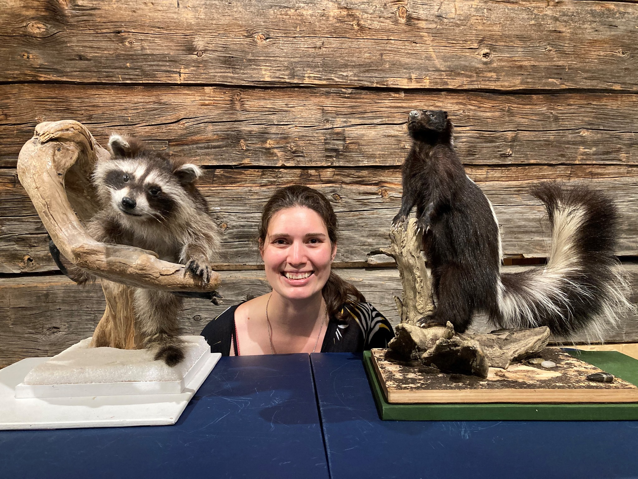 KelownaMuseums - What do George the Raccoon, Kyla the...