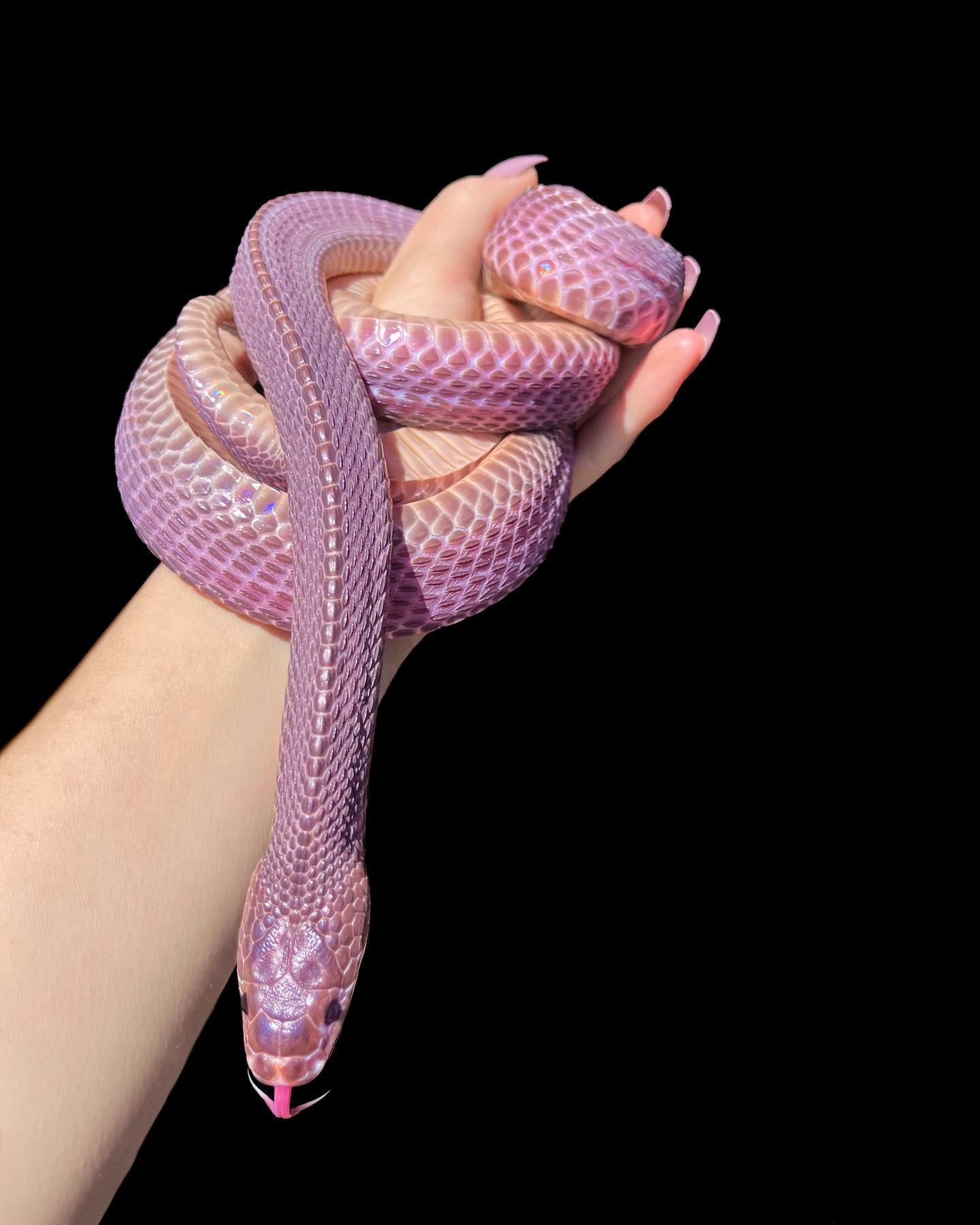 In love with the phenomenal purple colors of this African file