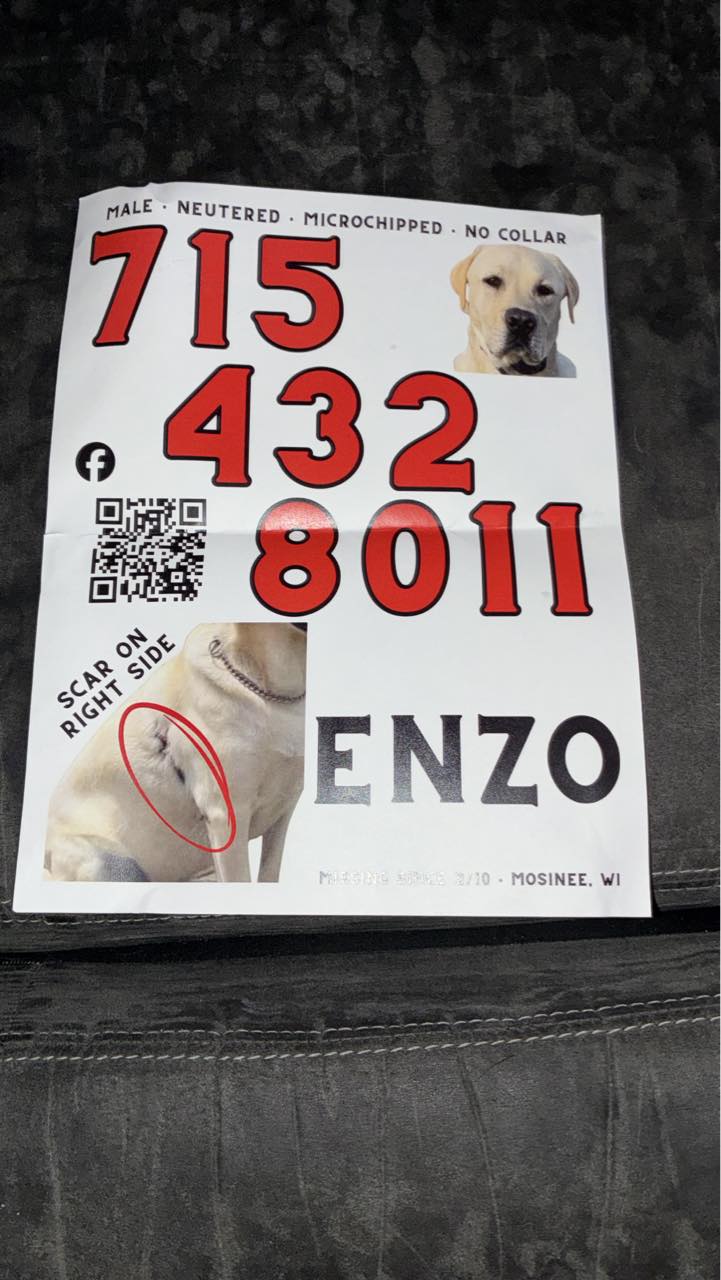 Lost dog Enzo in Mosinee, WI