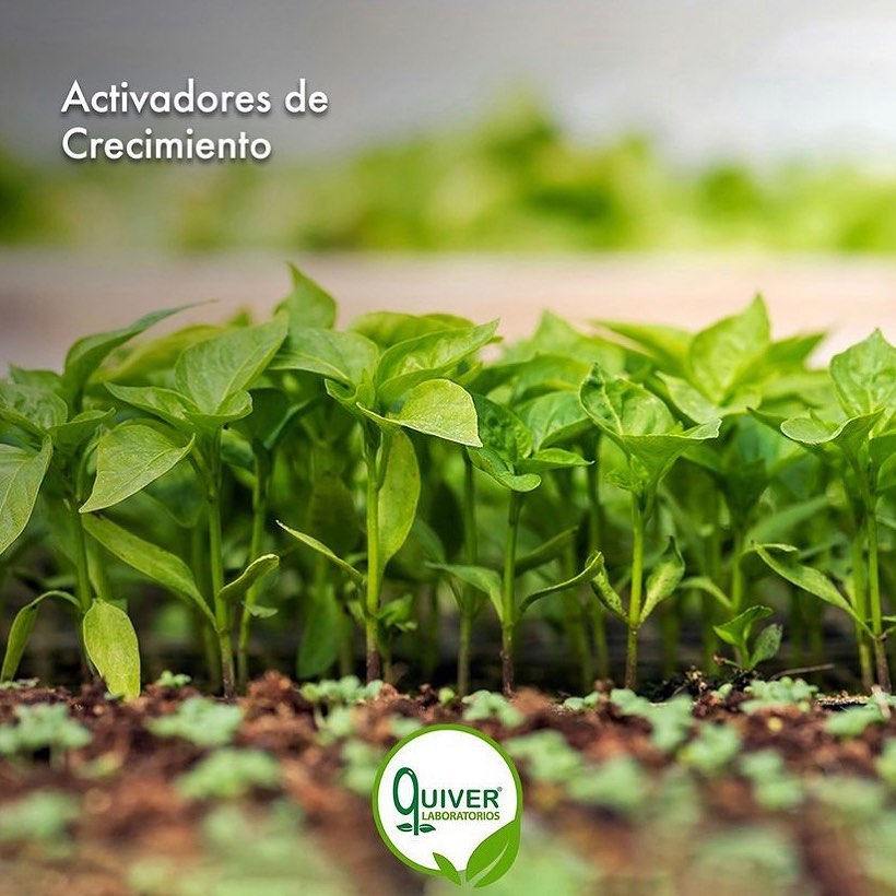 En #LaboratoriosQuiver producimos... - Laboratorios Quiver | Facebook