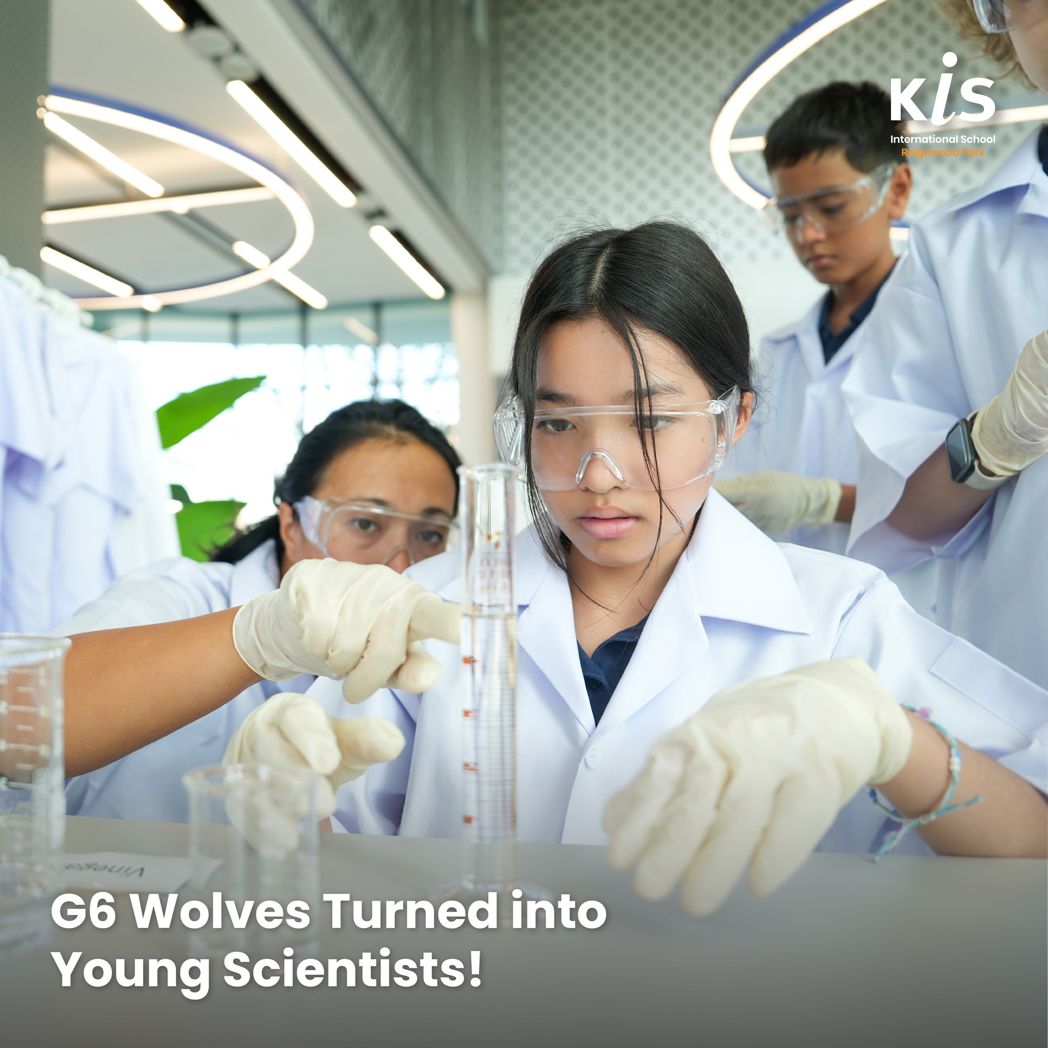🧑‍🔬 G6 Wolves... - KIS International School Reignwood Park | Facebook
