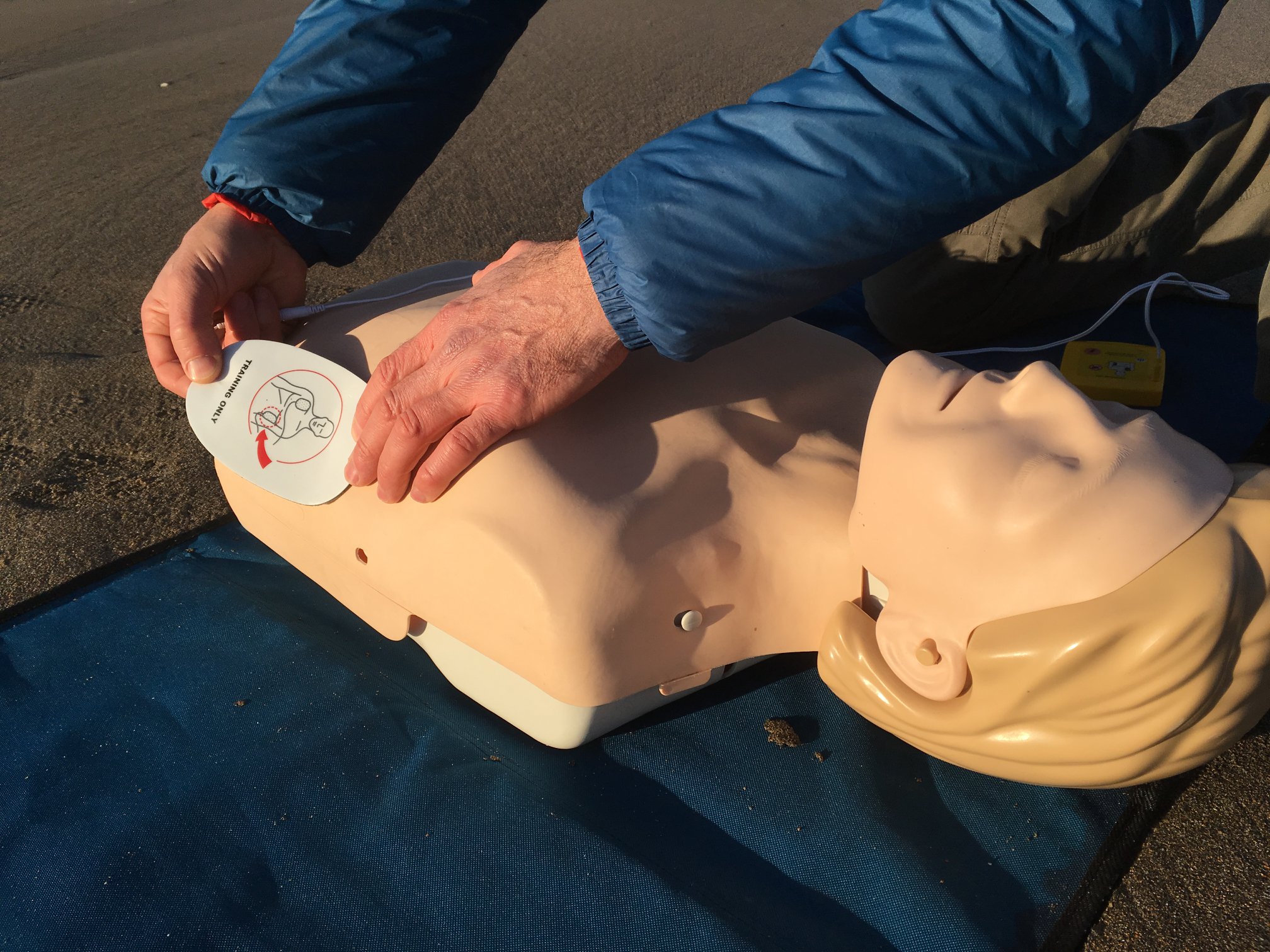 Freewave Training