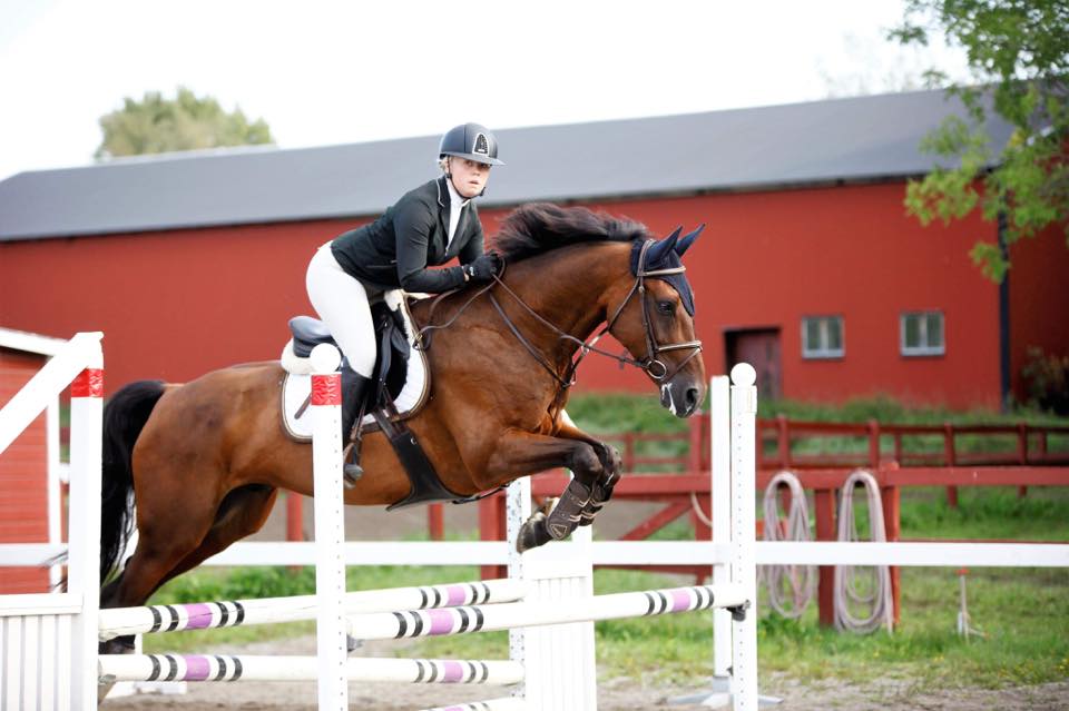 Stall Bolander