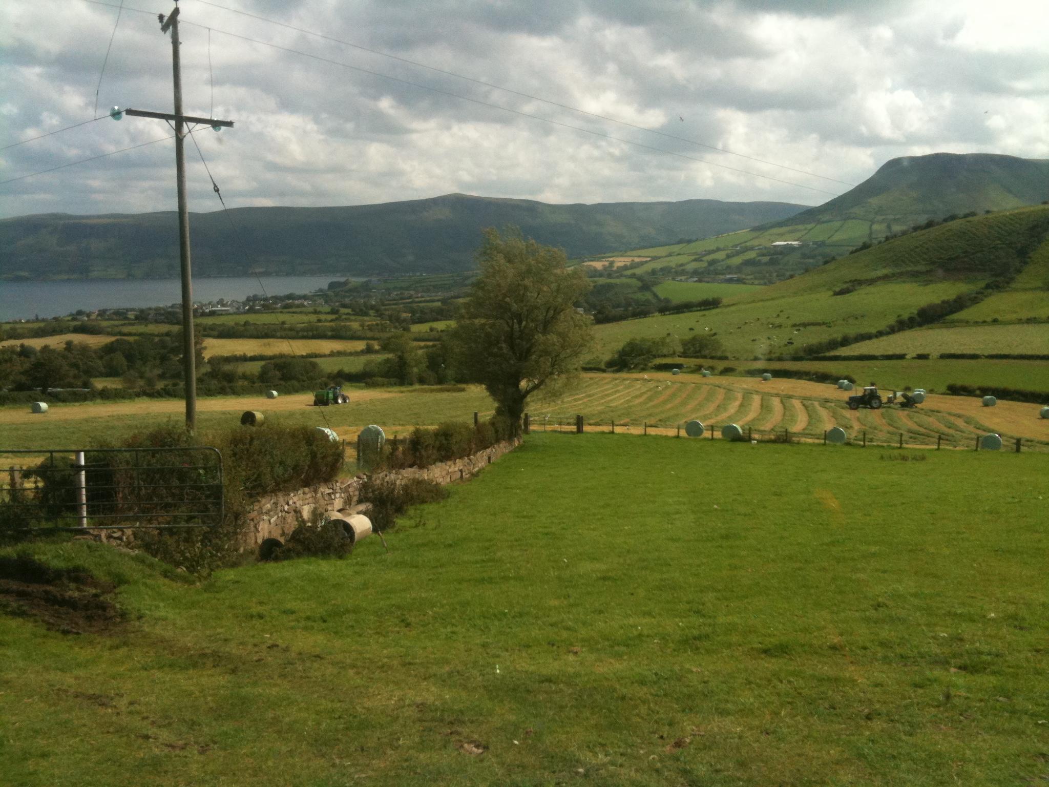 Coshkib Farm | Ballymena